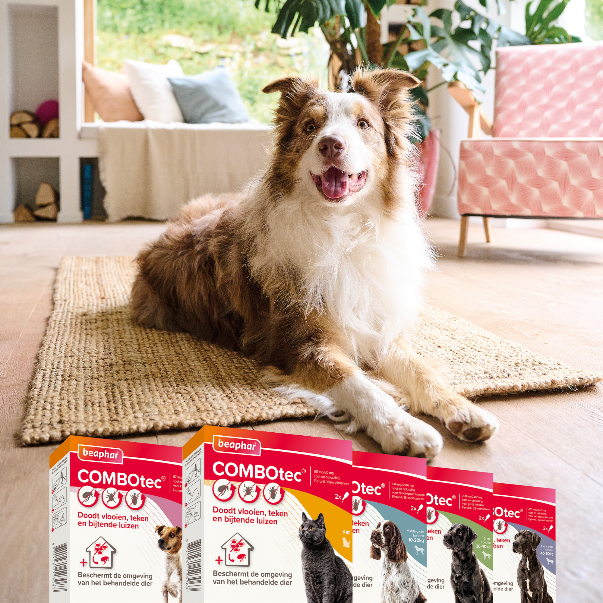 Beaphar COMBOtec® Spot-On hond 10-20kg 2 pipetten