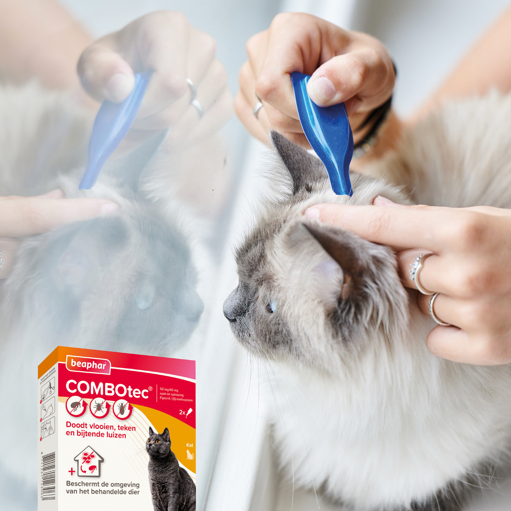 Beaphar COMBOtec® Spot-On kat 2 pipetten