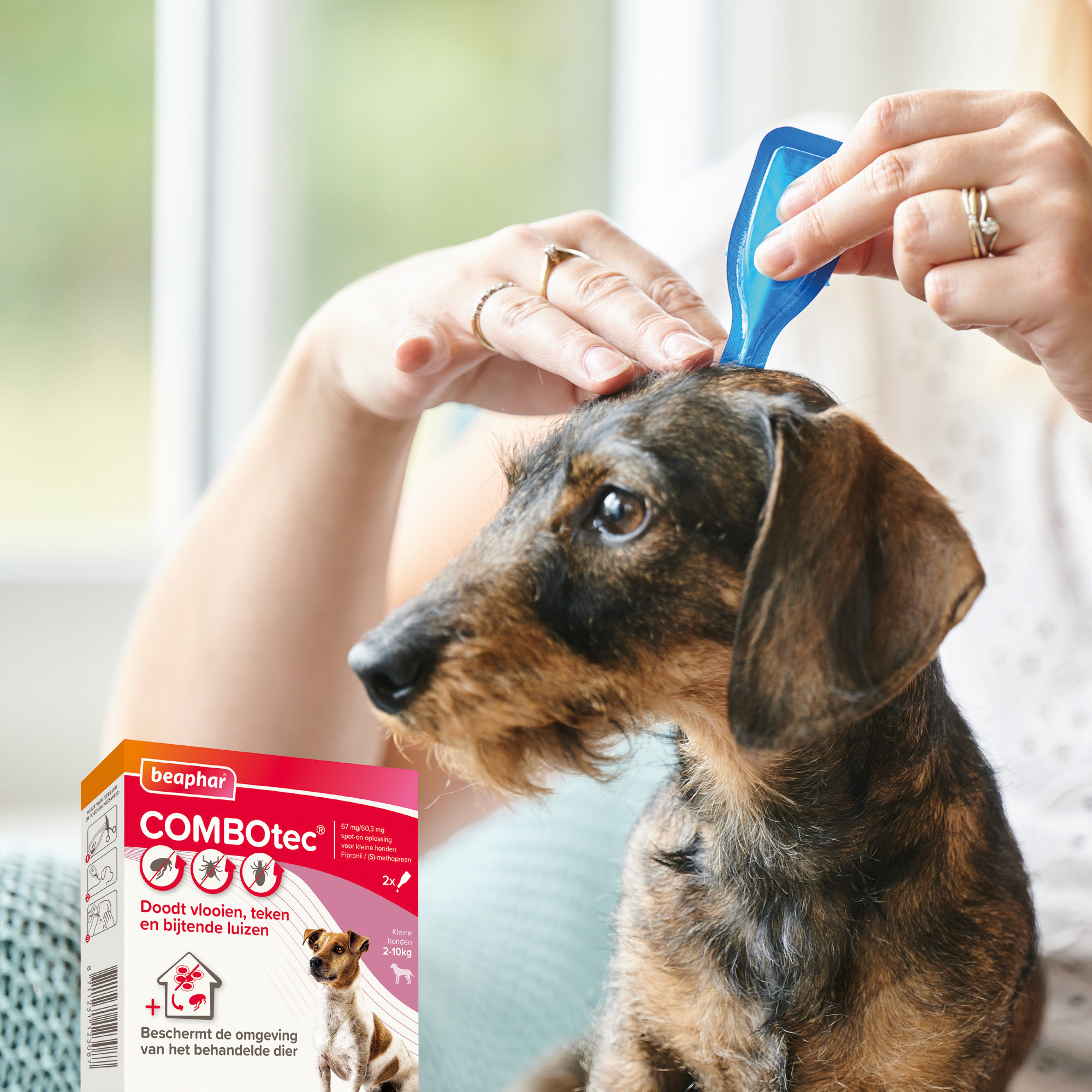 Beaphar COMBOtec® Spot-On hond 2-10kg 2 pipetten