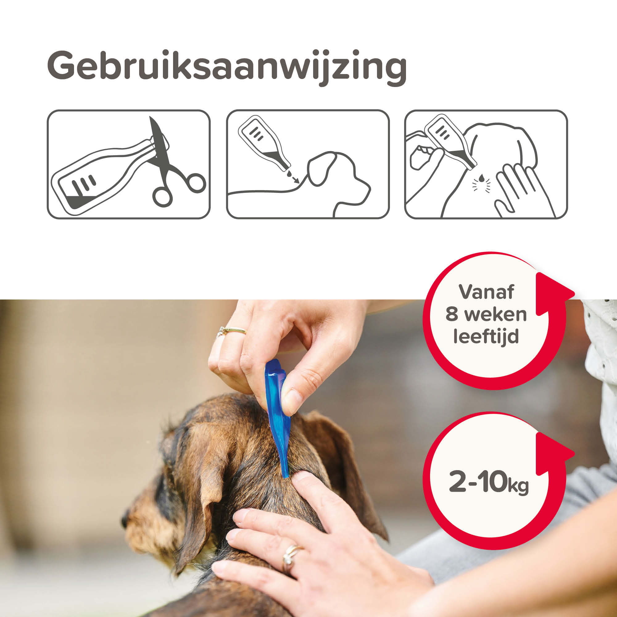 Beaphar COMBOtec® Spot-On hond 2-10kg 2 pipetten