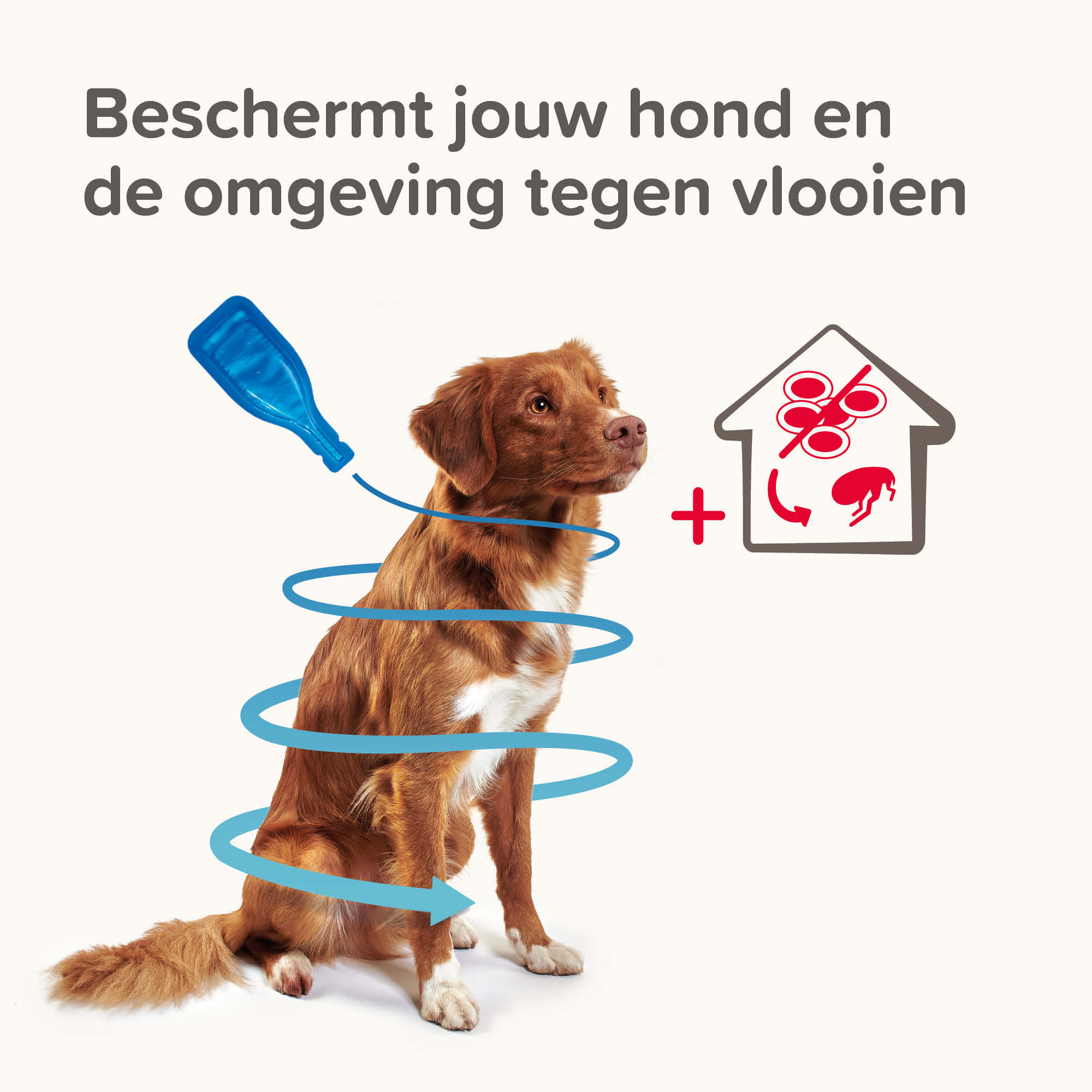 Beaphar COMBOtec® Spot-On hond 2-10kg 2 pipetten