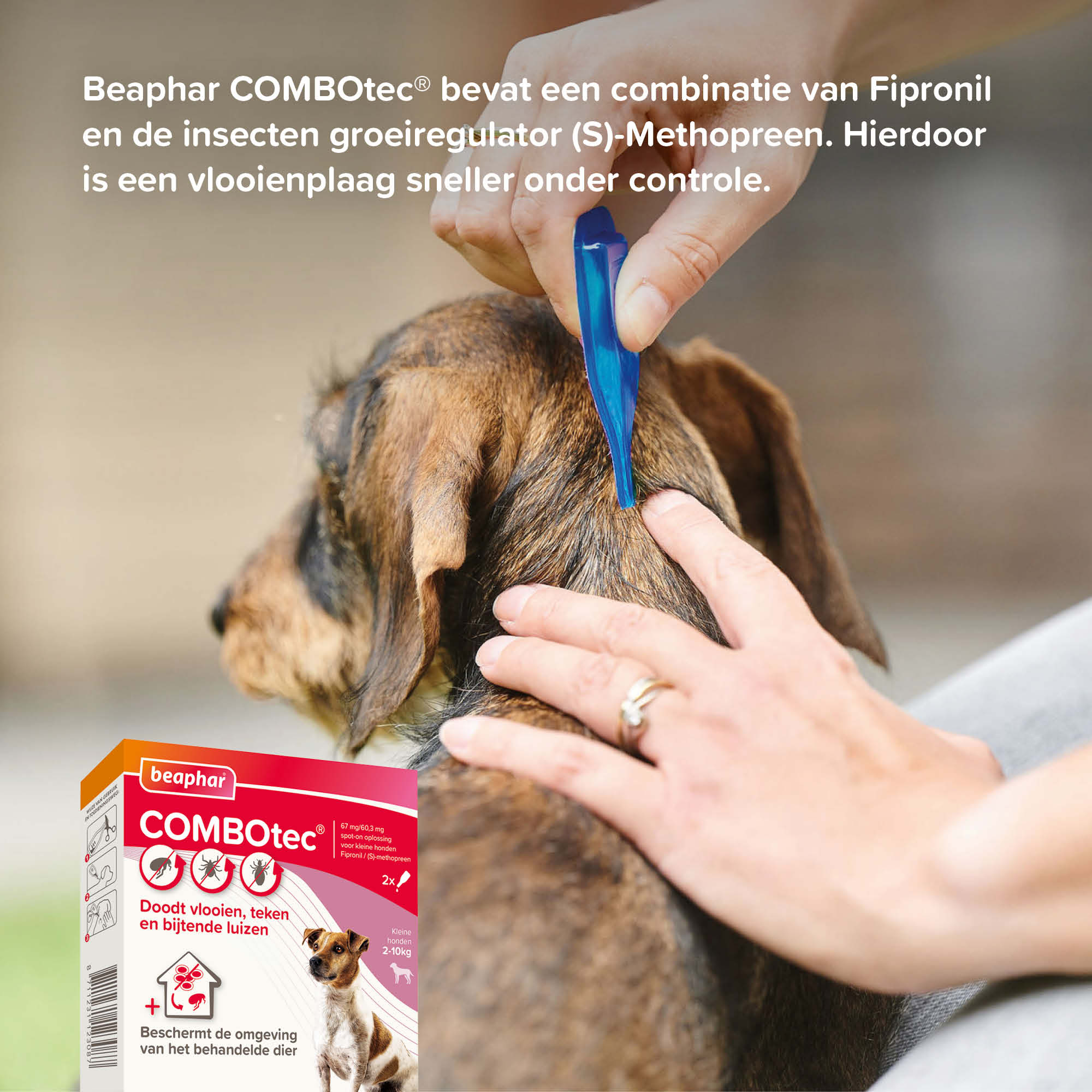 Beaphar COMBOtec® Spot-On hond 2-10kg 2 pipetten