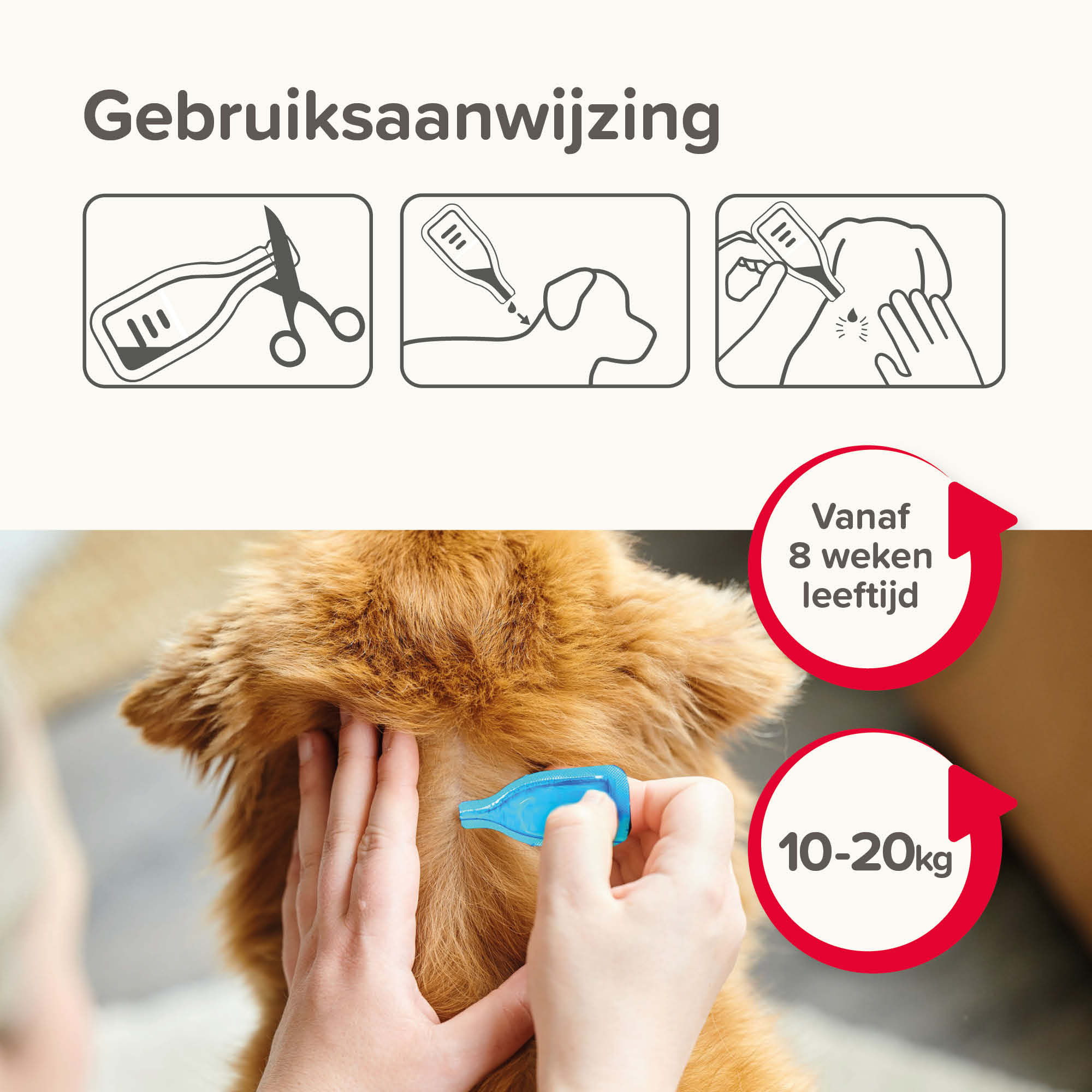 Beaphar COMBOtec® Spot-On hond 10-20kg 2 pipetten