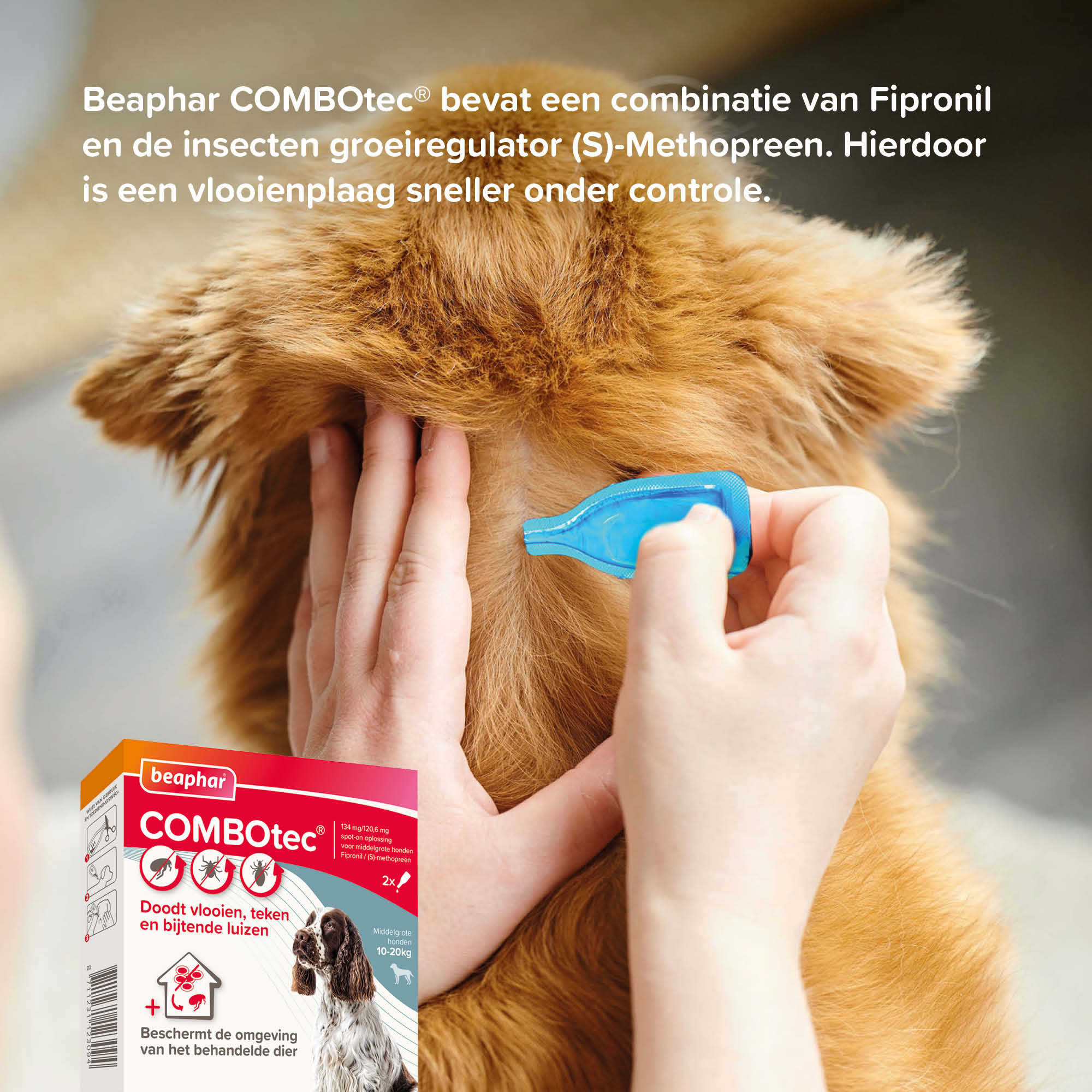 Beaphar COMBOtec® Spot-On hond 10-20kg 2 pipetten