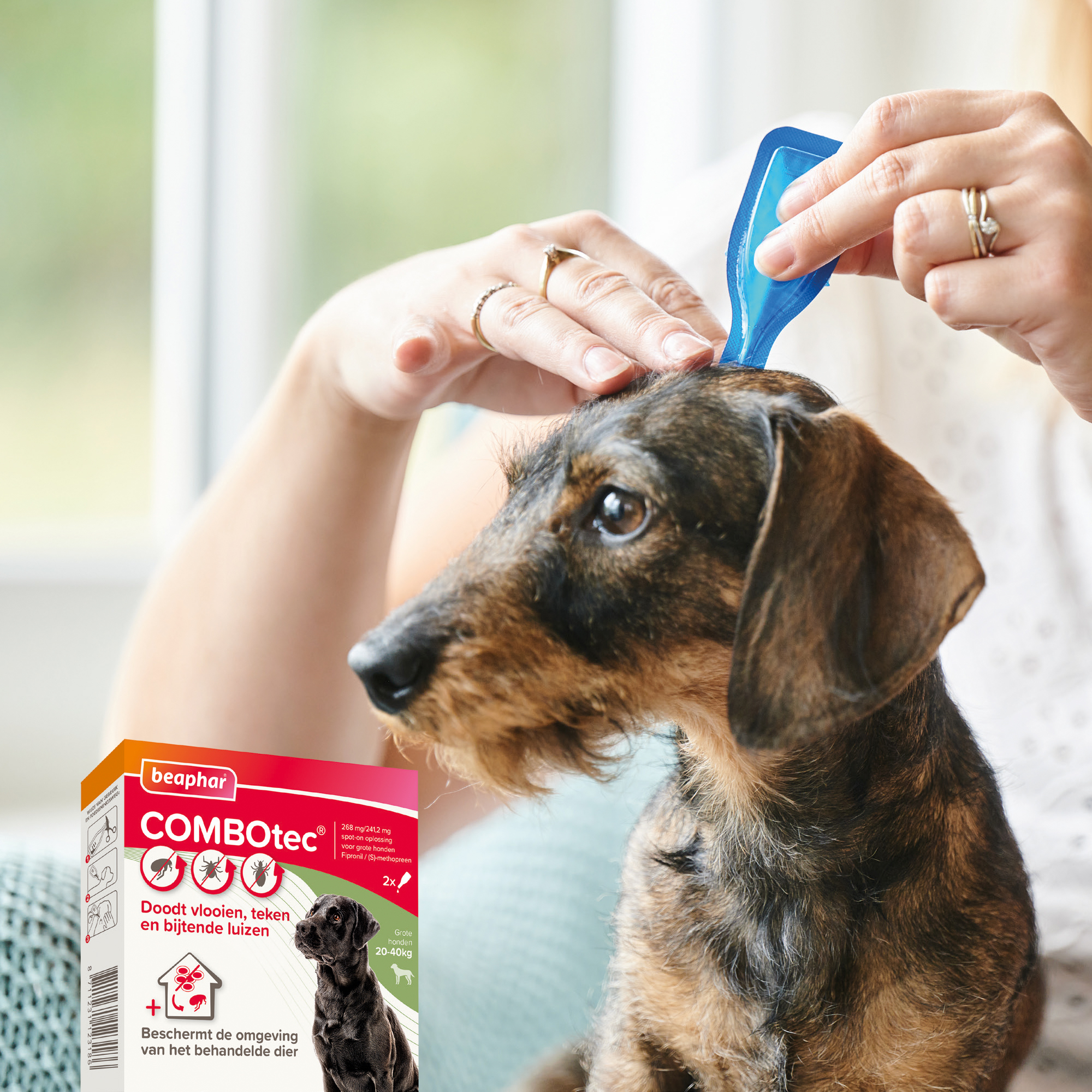 Beaphar COMBOtec® Spot-On hond 20-40kg 2 pipetten