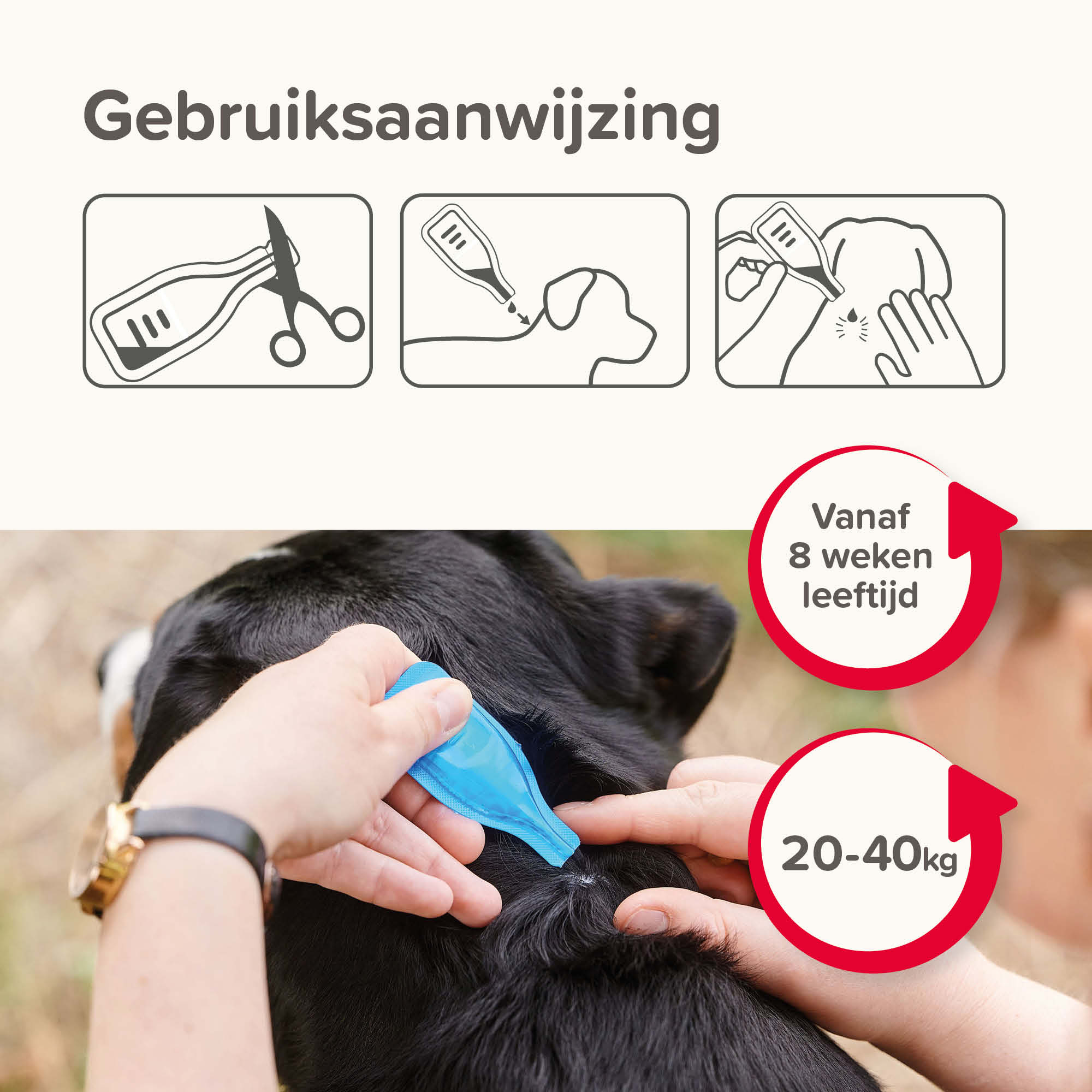 Beaphar COMBOtec® Spot-On hond 20-40kg 2 pipetten