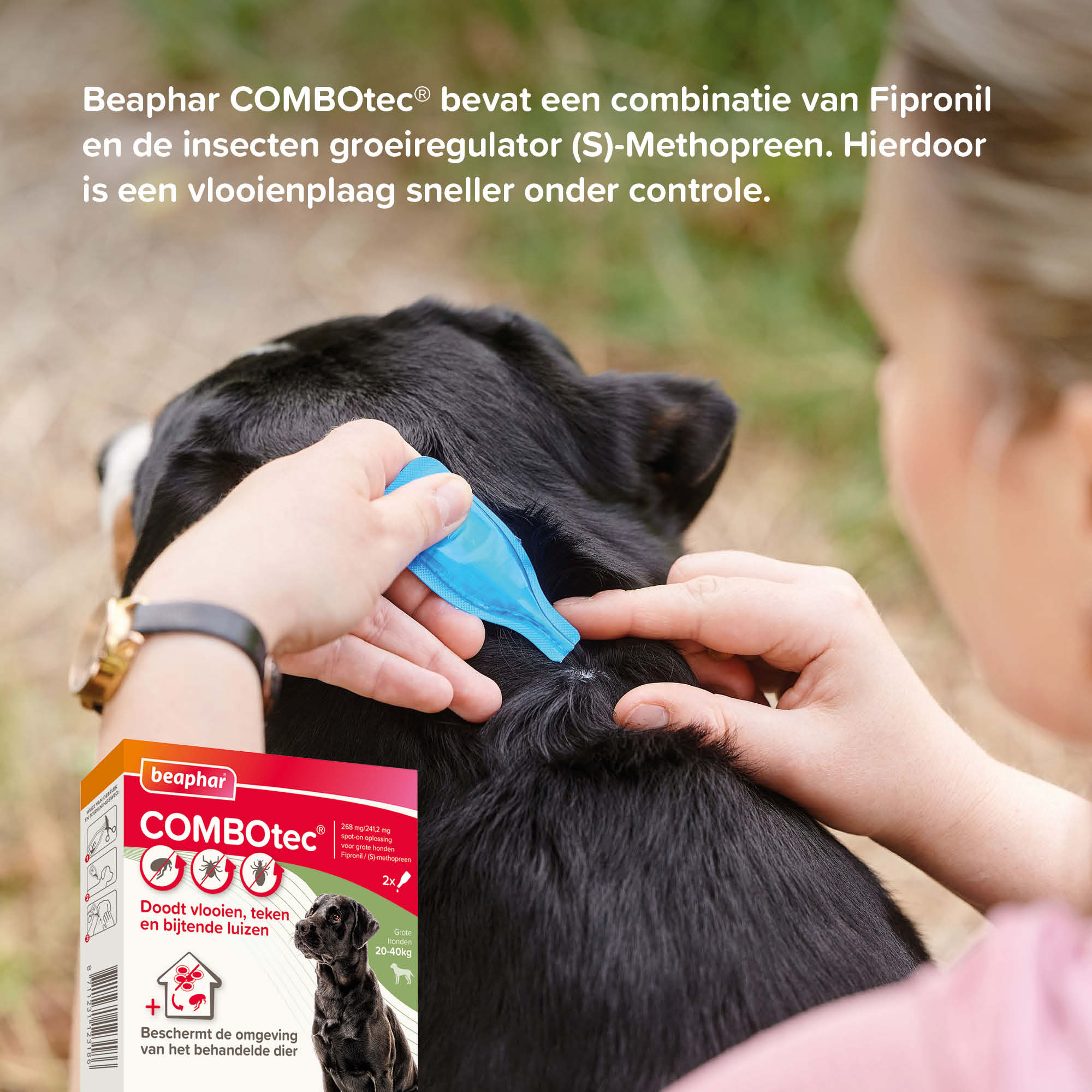 Beaphar COMBOtec® Spot-On hond 20-40kg 2 pipetten