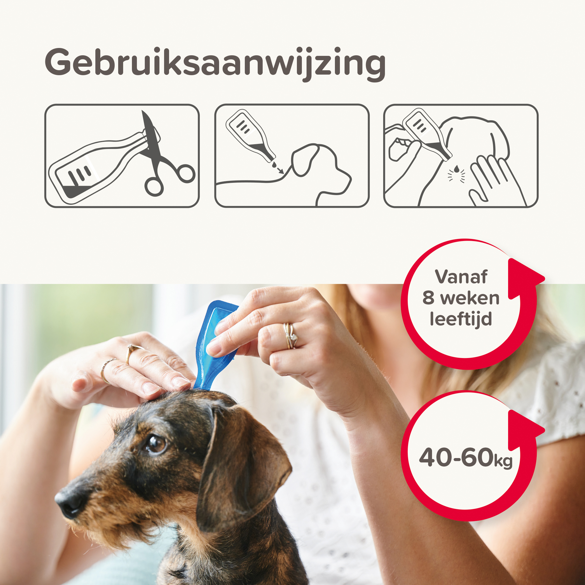 Beaphar COMBOtec® Spot-On hond 40-60kg 2 pipetten