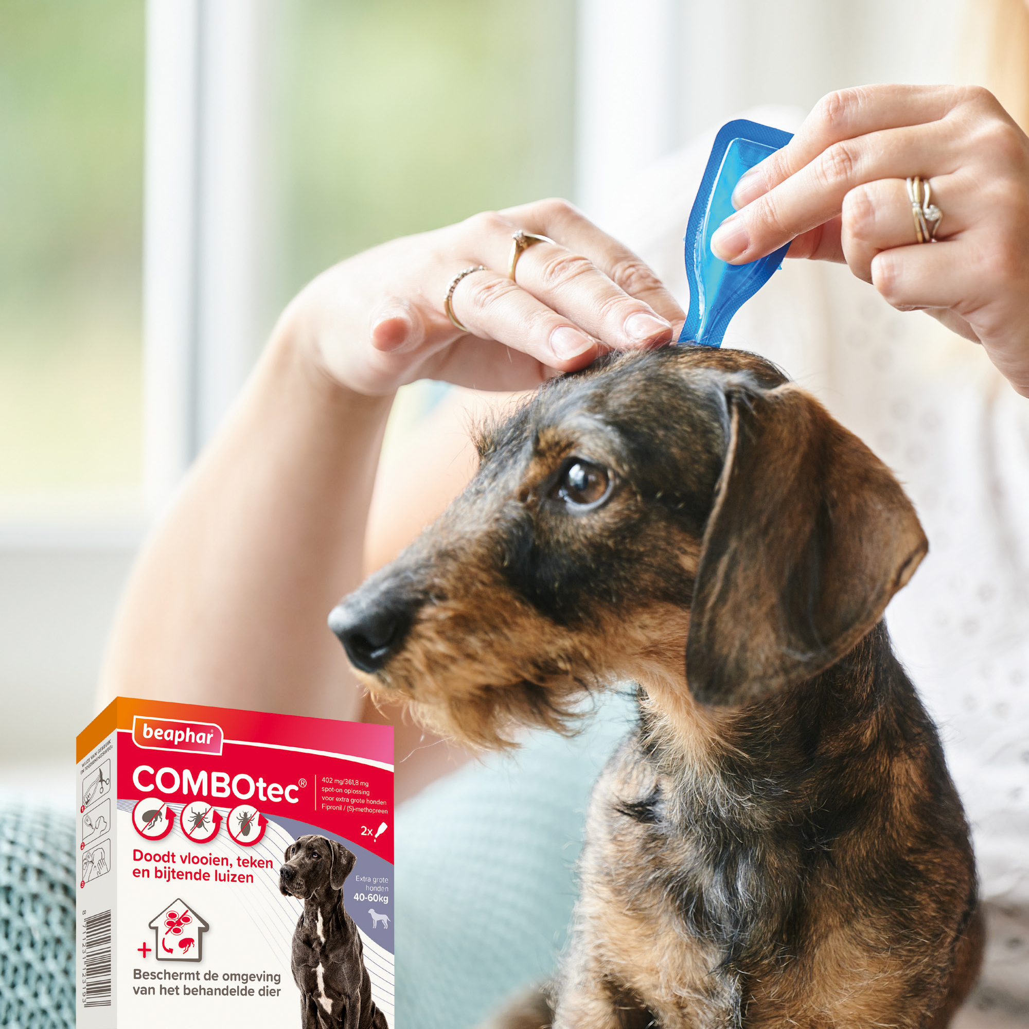 Beaphar COMBOtec® Spot-On hond 40-60kg 2 pipetten