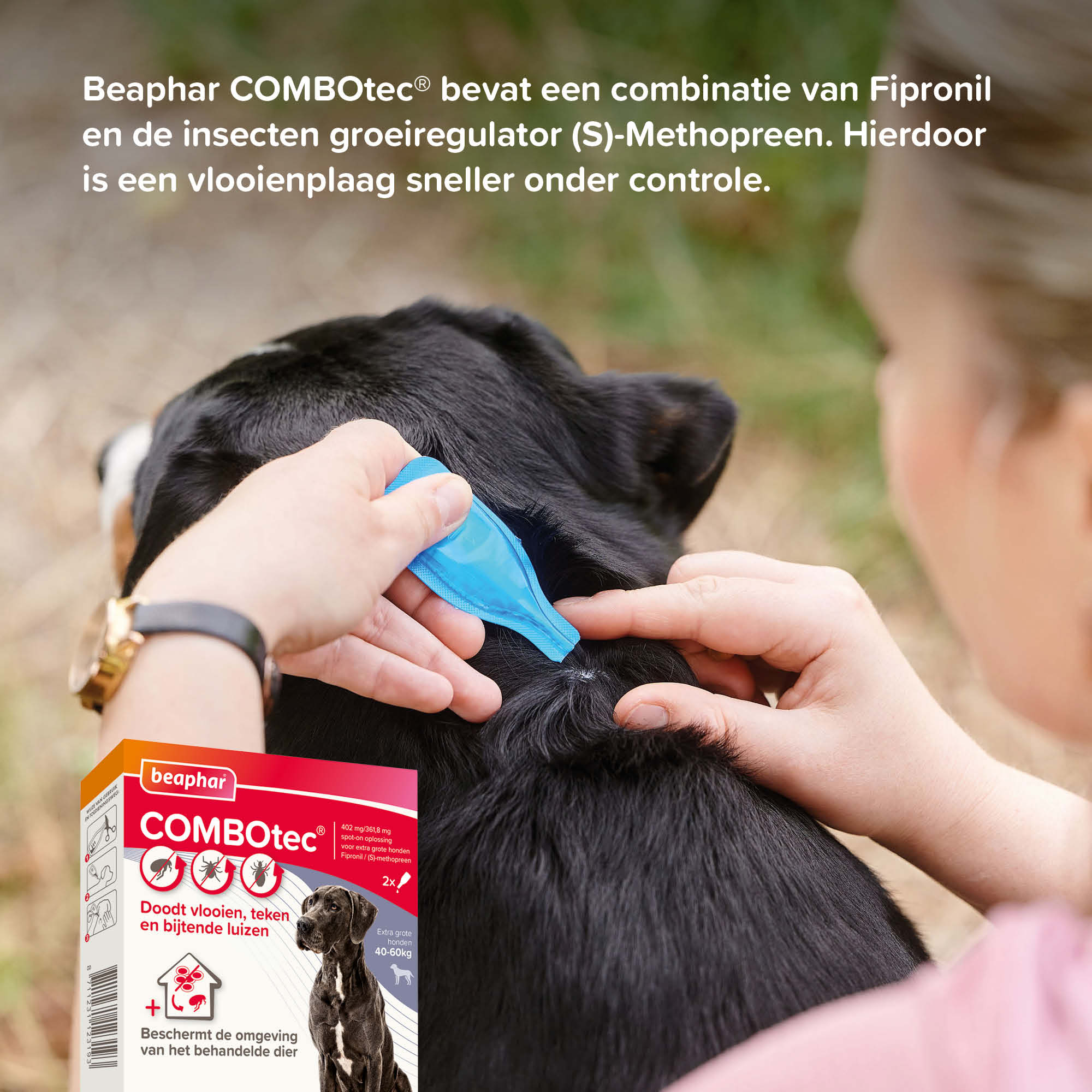 Beaphar COMBOtec® Spot-On hond 40-60kg 2 pipetten