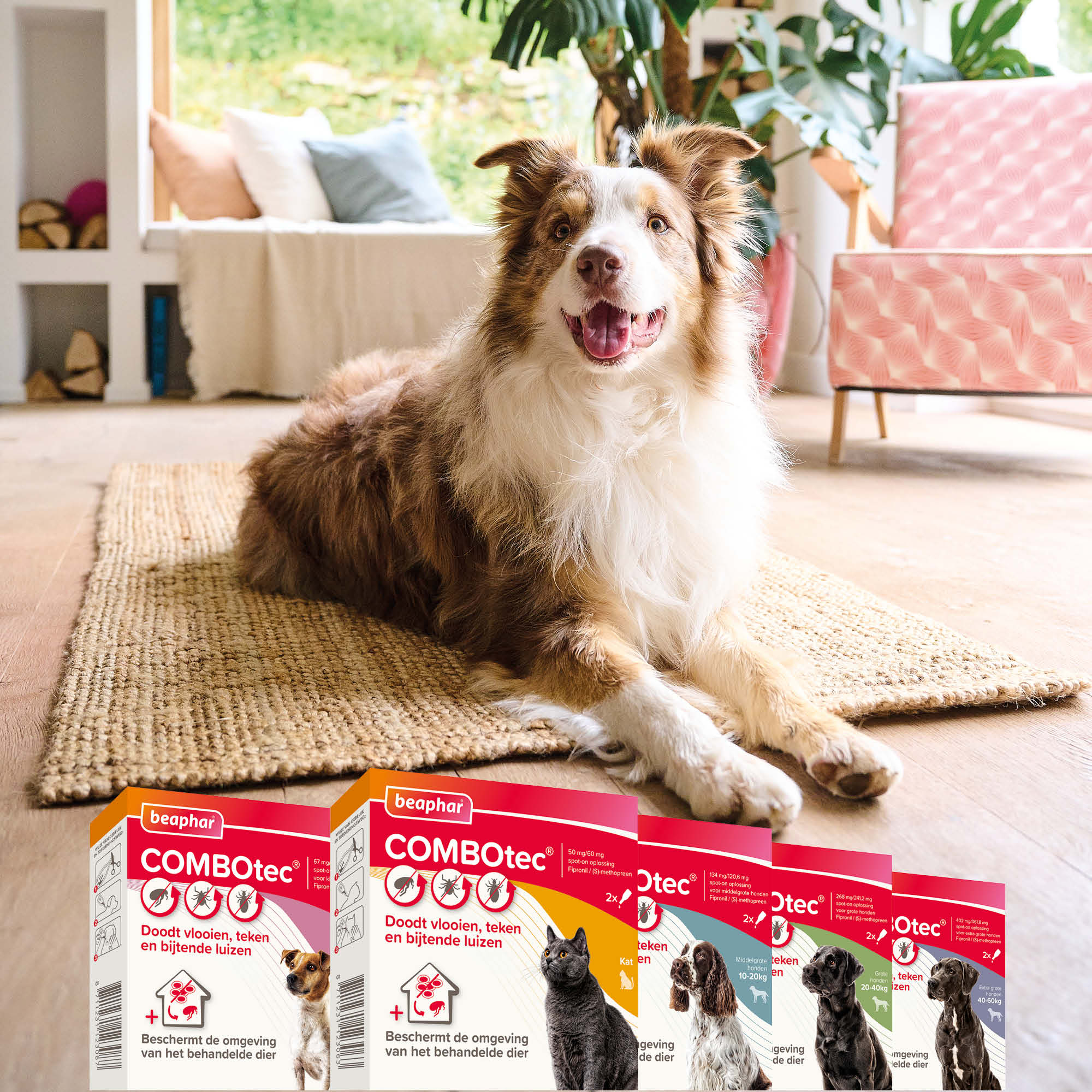 Beaphar COMBOtec® Spot-On hond 40-60kg 2 pipetten