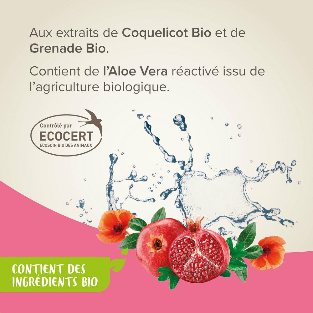 Spray shampoing sec labellisé ECOCERT pour chien, chat et petits animaux