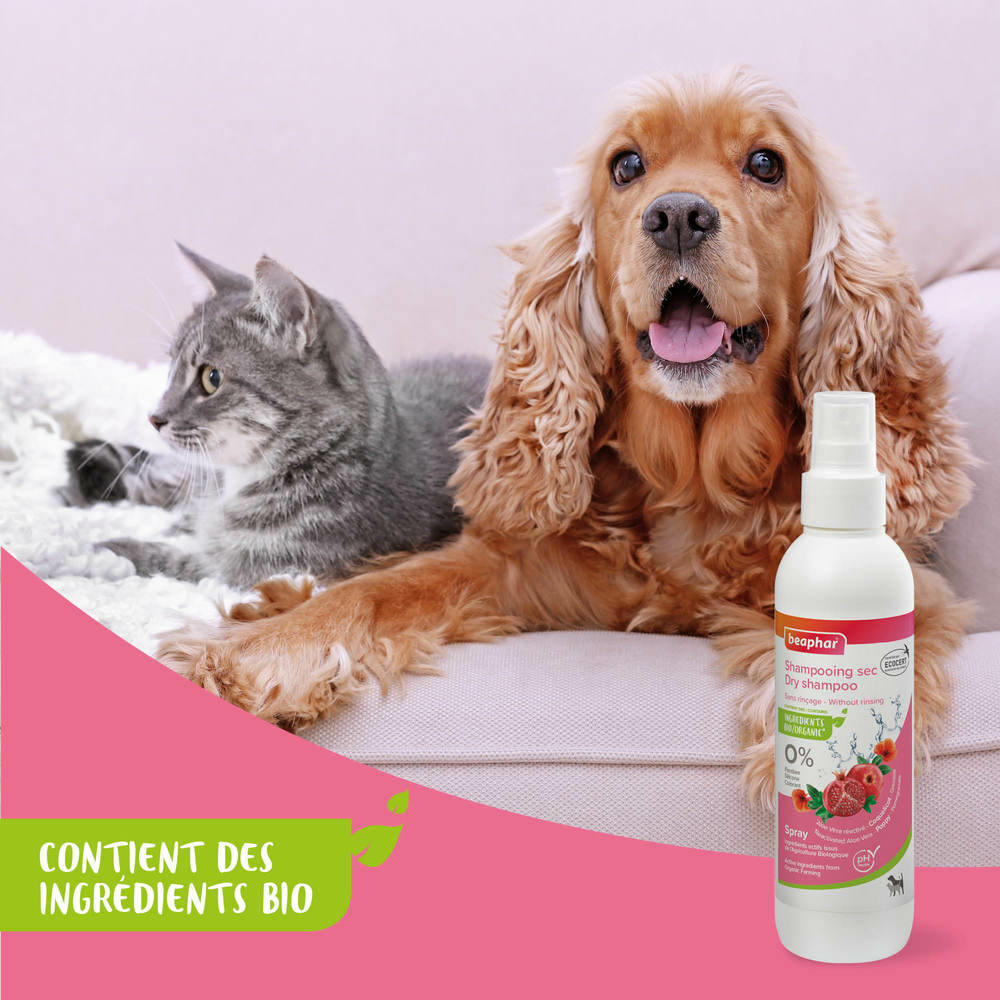 Spray shampoing sec labellisé ECOCERT pour chien, chat et petits animaux