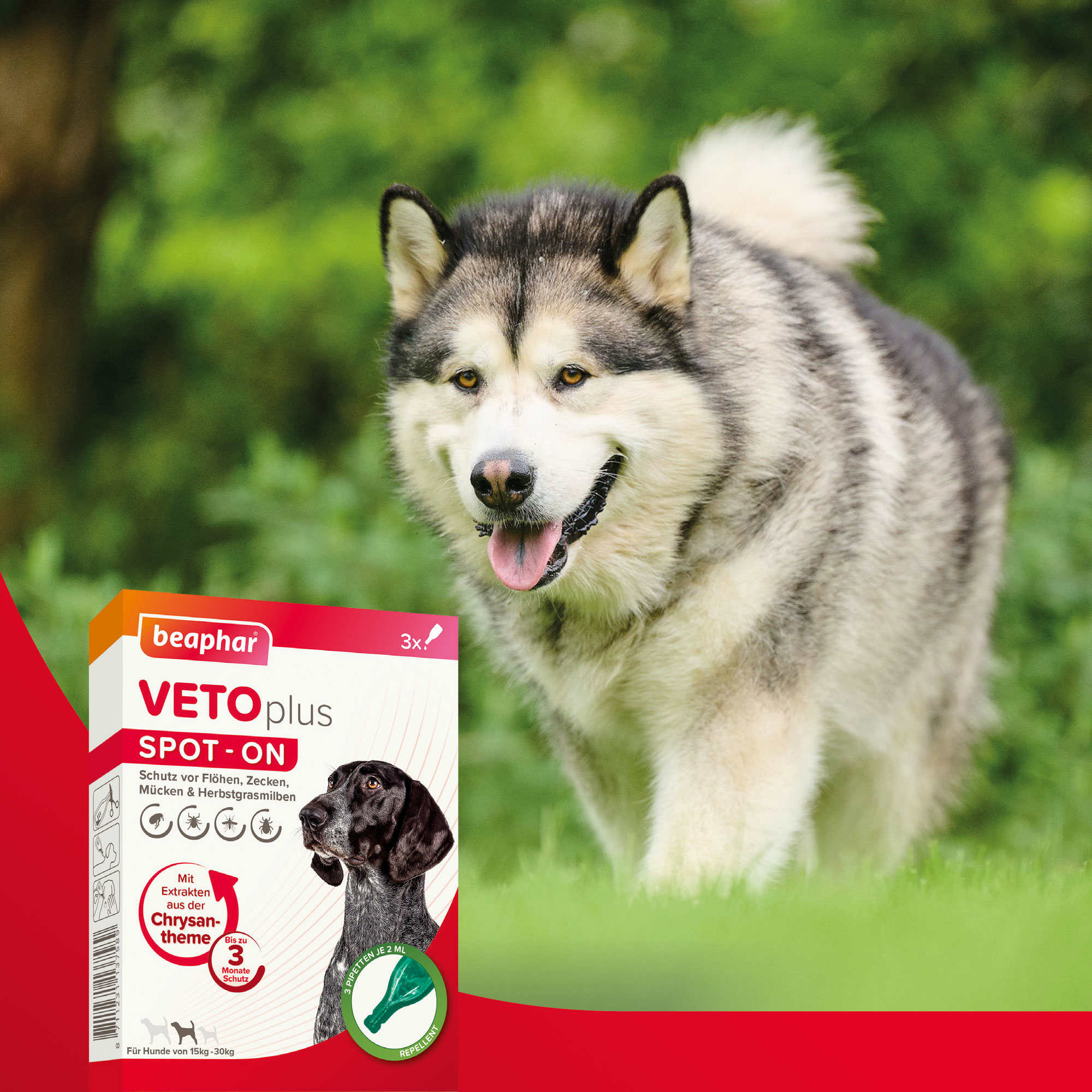 Beaphar VETOplus SPOT-ON für mittelgroße Hunde (15 - 30kg), 3x2ml