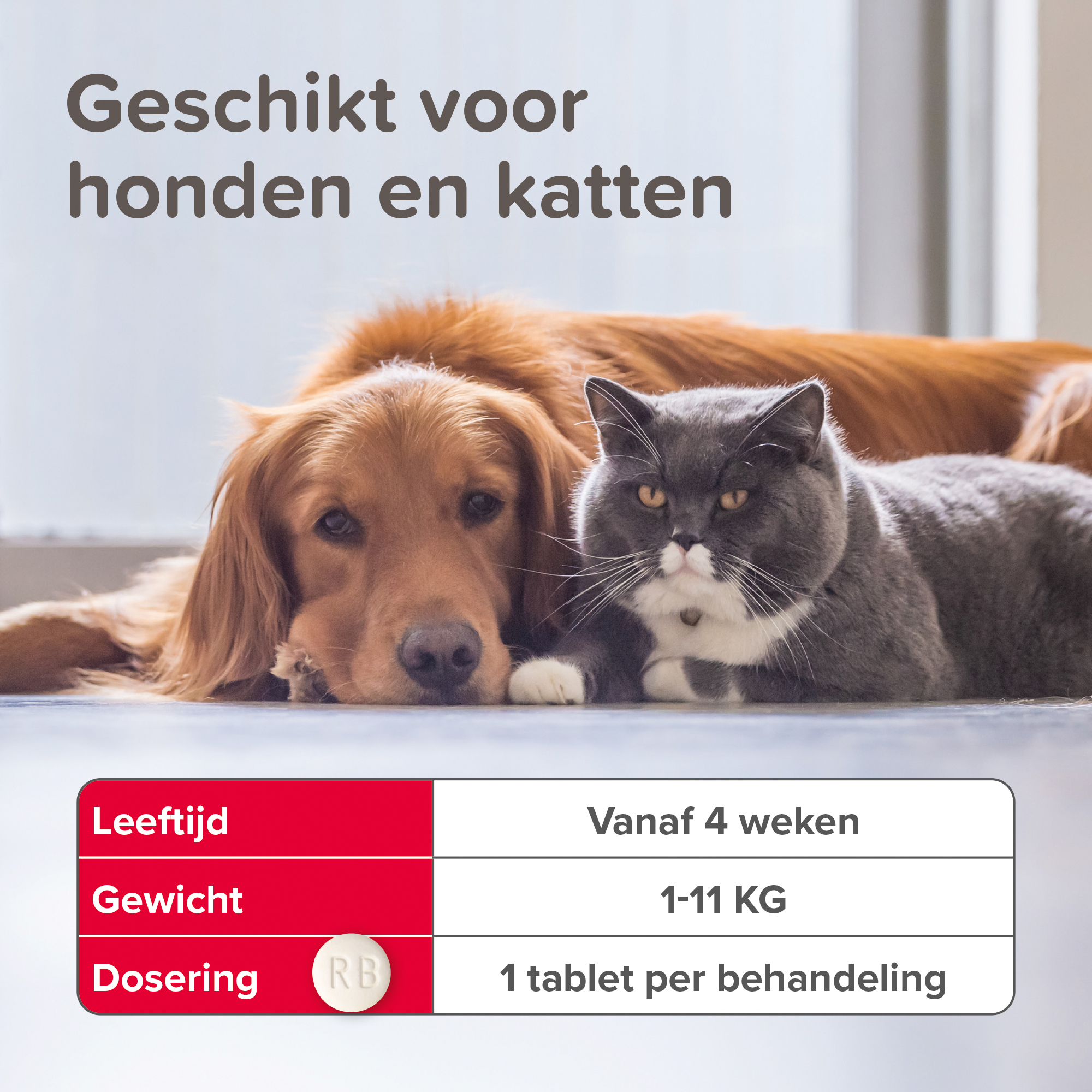 Beaphar Vlo Kill kat en hond tot 11kg 6st