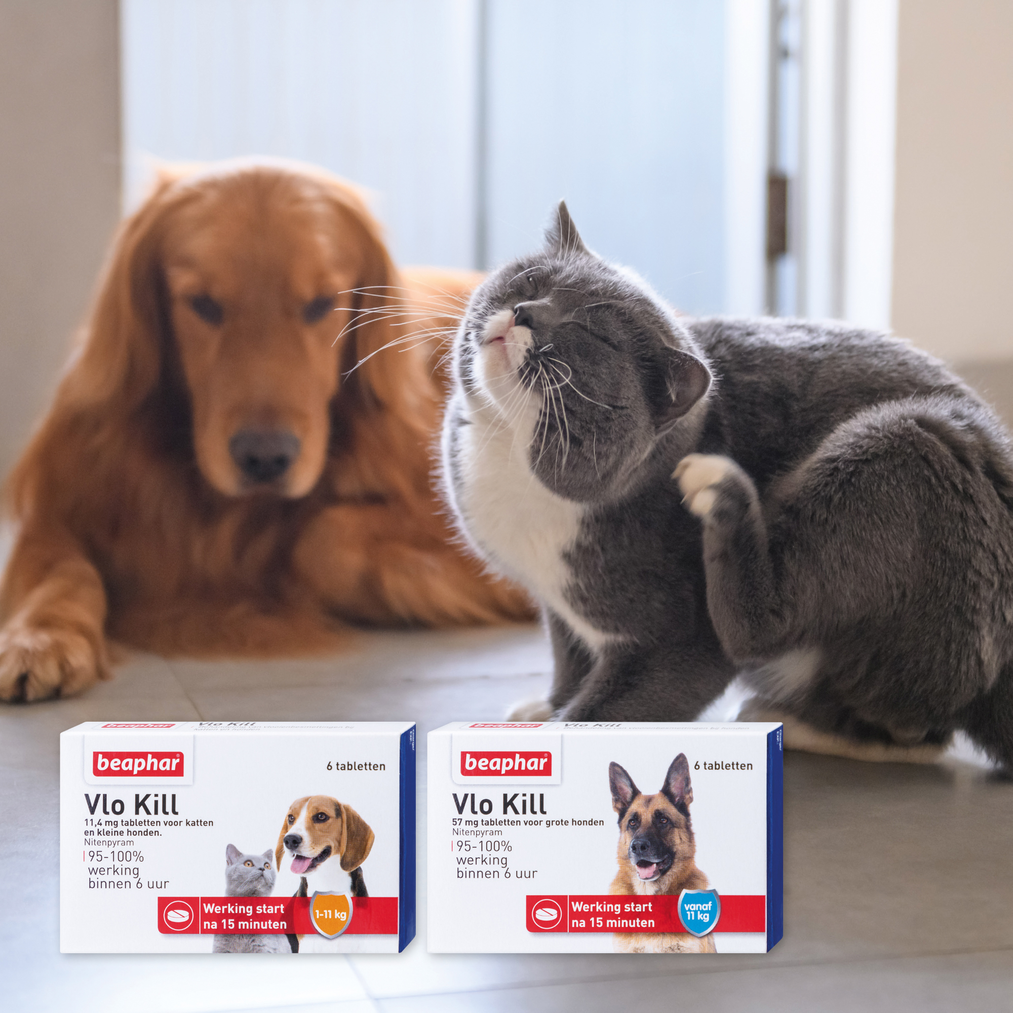 Beaphar Vlo Kill kat en hond tot 11kg 6st