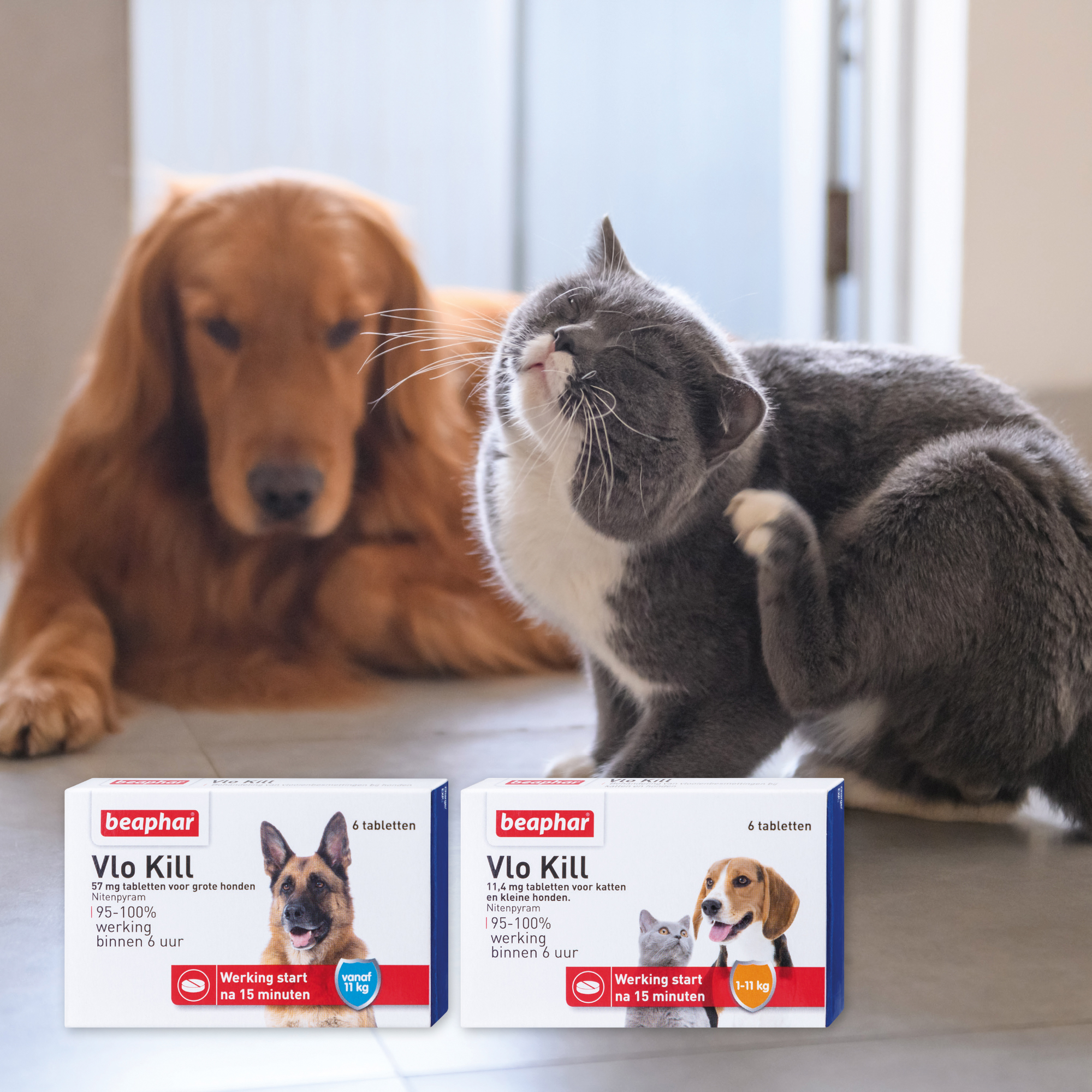 Beaphar Vlo Kill hond vanaf 11kg 6st