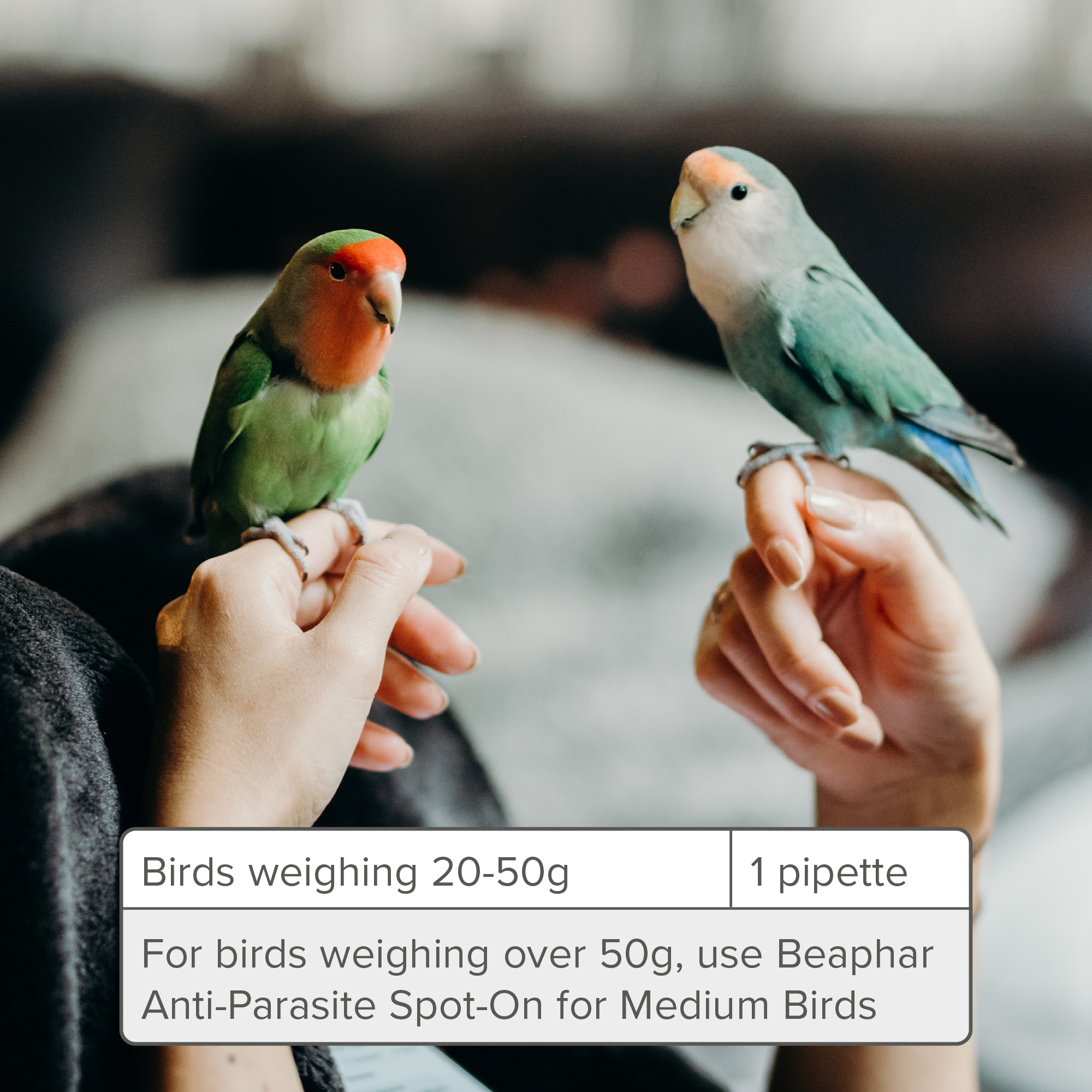 Beaphar Anti-Parasite Spot-On for Small Birds 20-50g, 2 pipettes