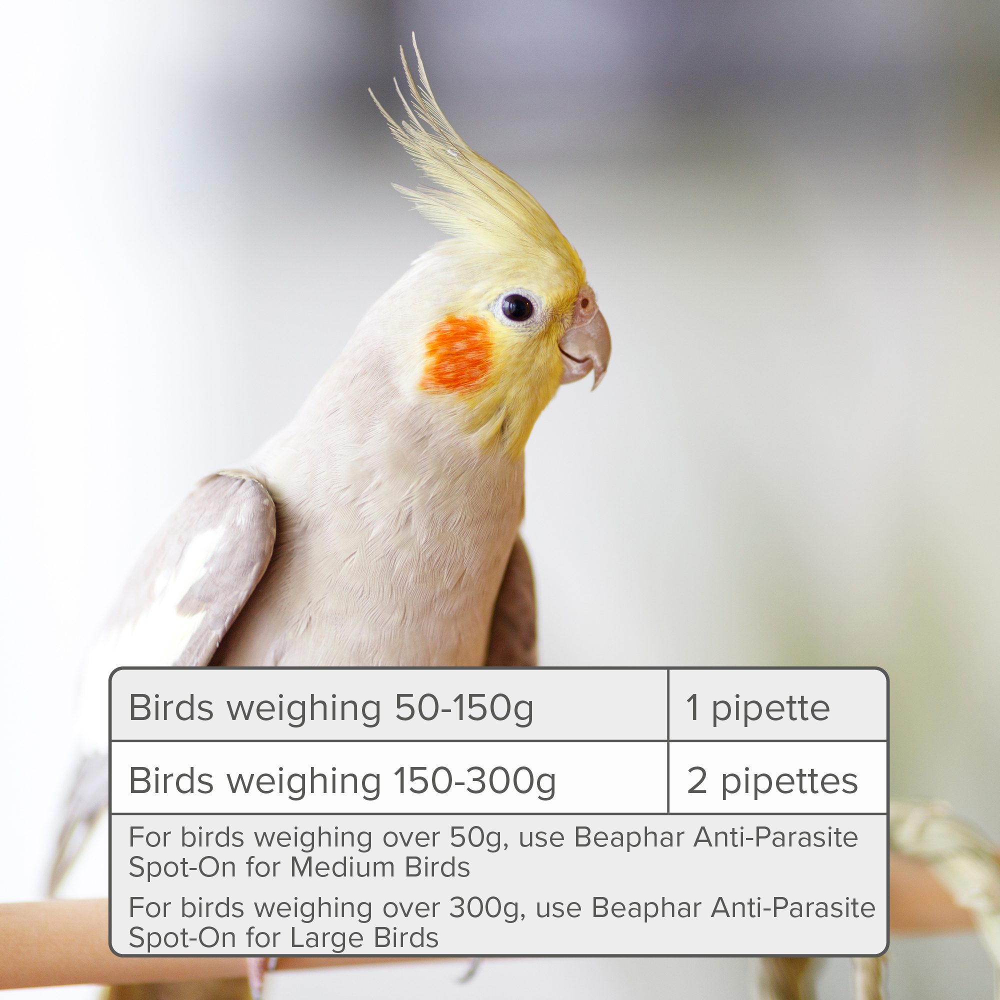 Beaphar Anti-Parasite Spot-On for Medium Birds 50-300g, 2 pipettes