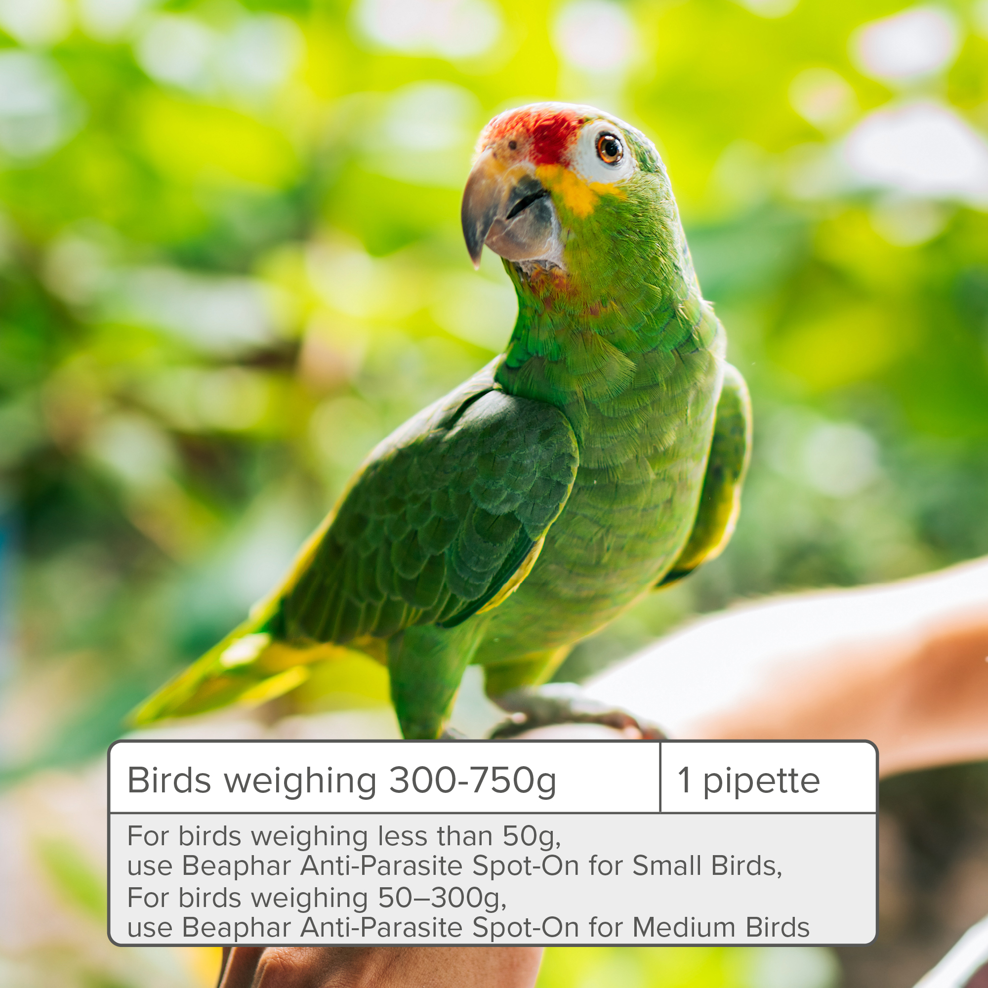 Beaphar Anti-Parasite Spot-On for Large Birds 300-750g, 2 pipettes