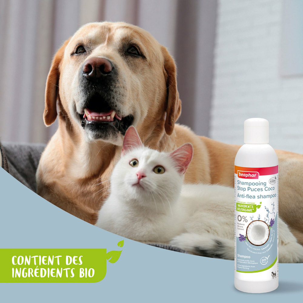 Shampoing Stop Puces Coco pour chien et chat