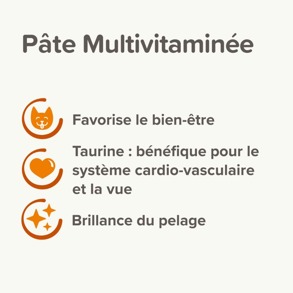 Pâte multivitaminée à la taurine et aux omégas pour chat 100g