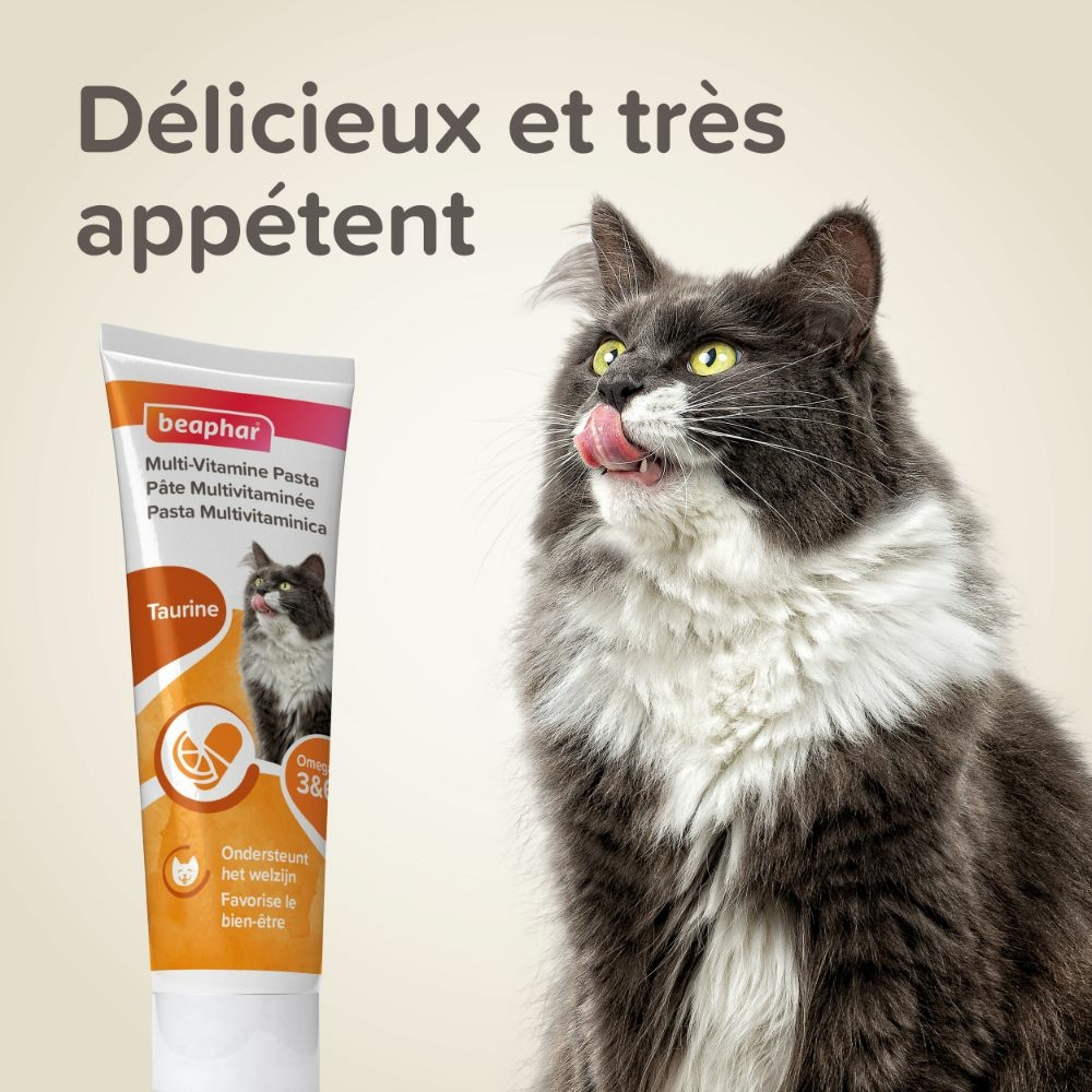 Pâte multivitaminée à la taurine et aux omégas pour chat 100g