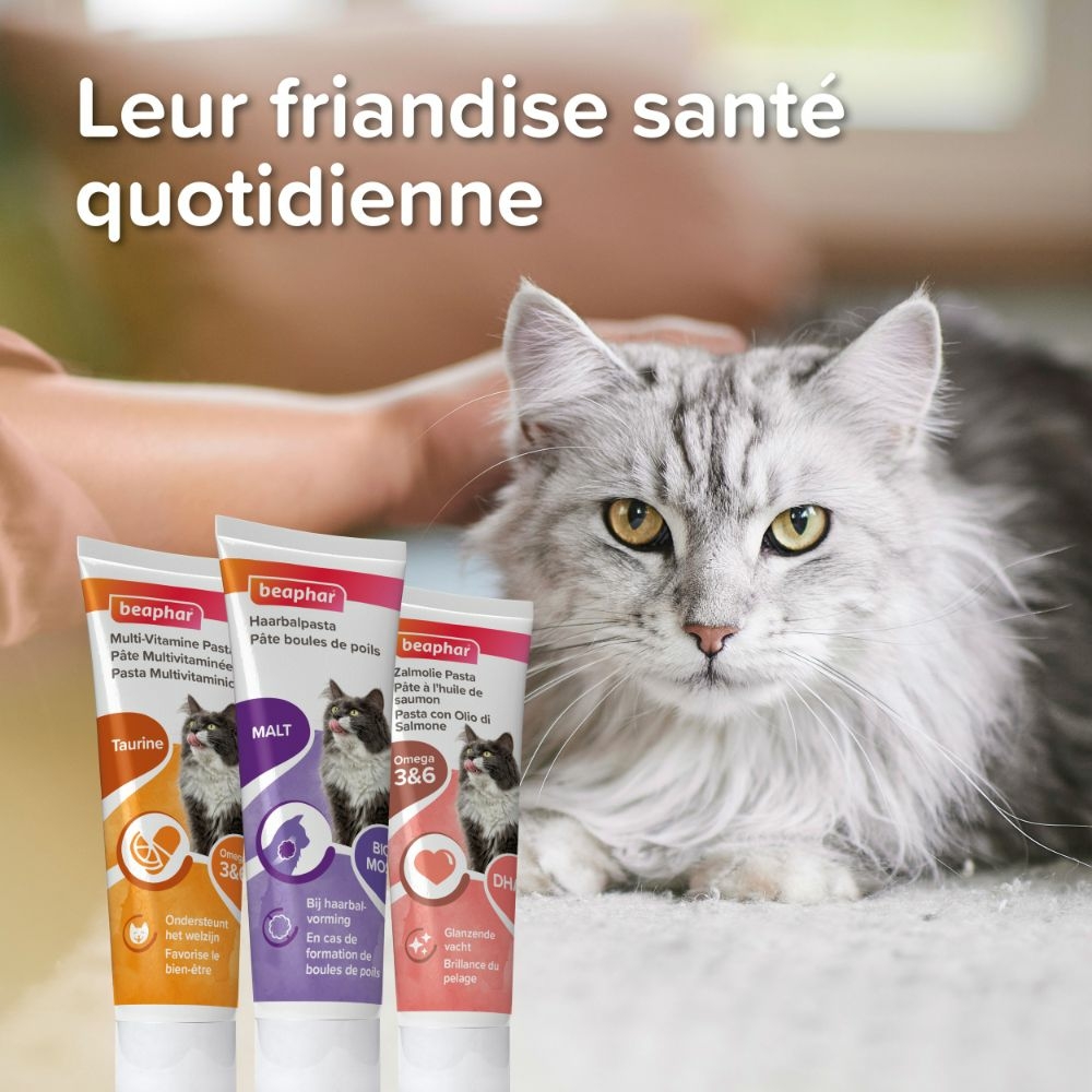 Pâte multivitaminée à la taurine et aux omégas pour chat 100g