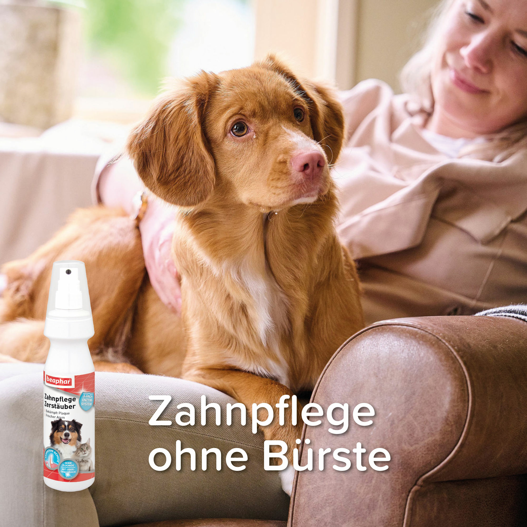 Beaphar Zahnpflege Zerstäuber, 150ml