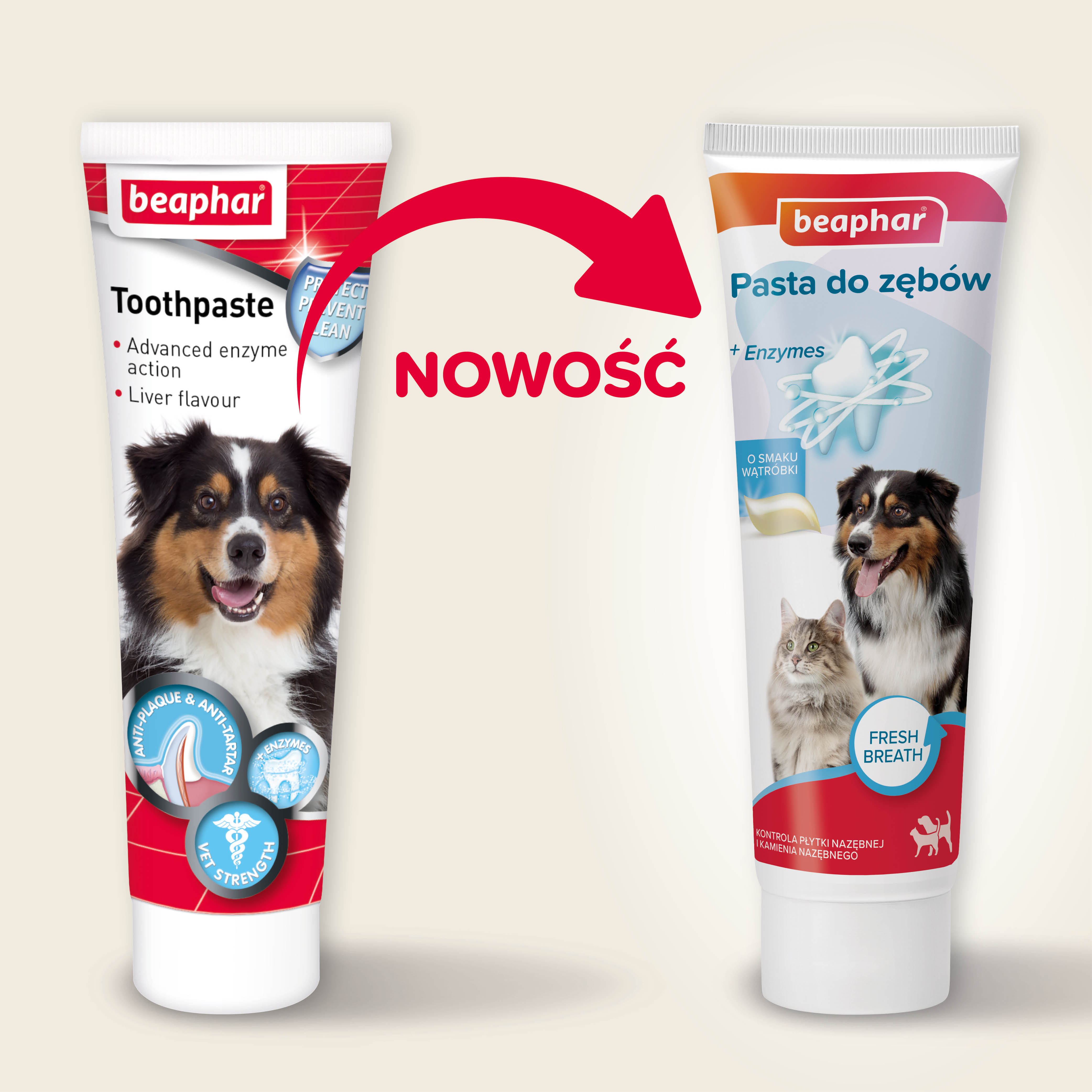 PASTA DO ZĘBÓW 100G - pasta do zębów o smaku wątróbki dla psów i kotów