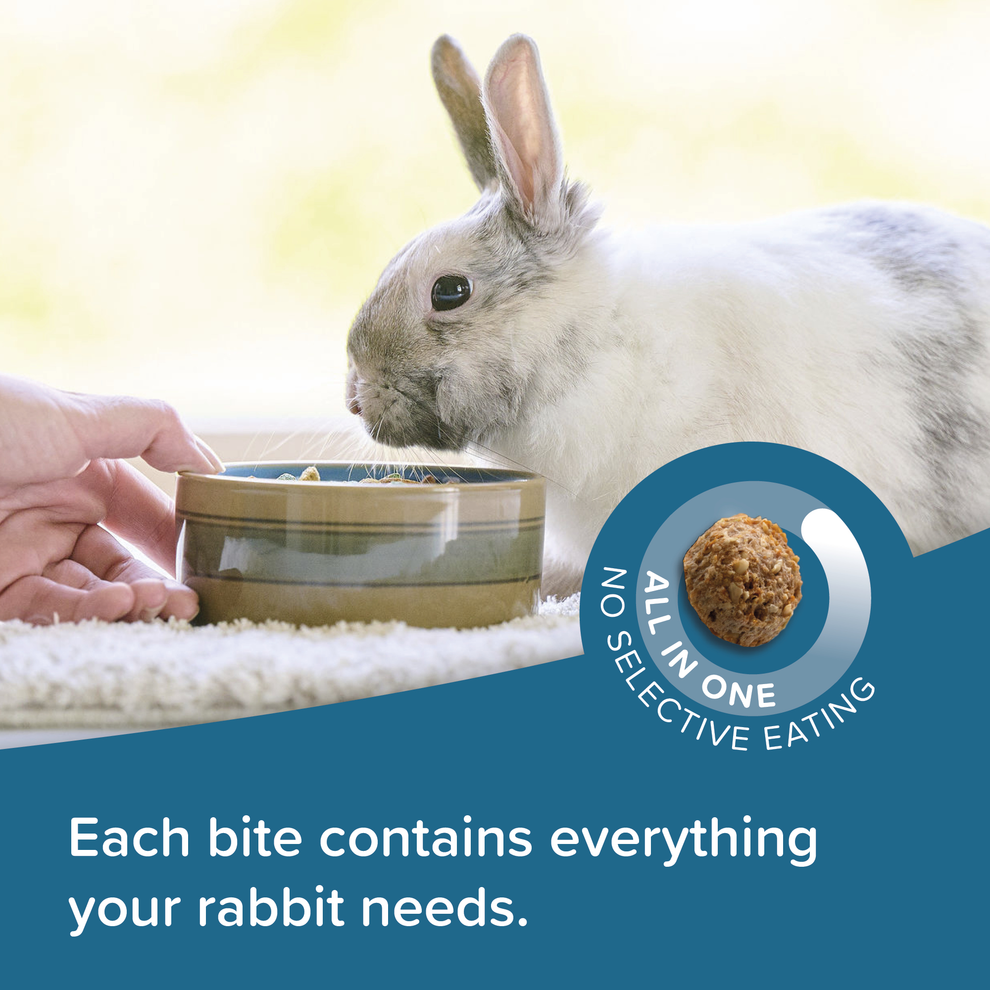 Beaphar CARE+® Food for Rabbits 10kg