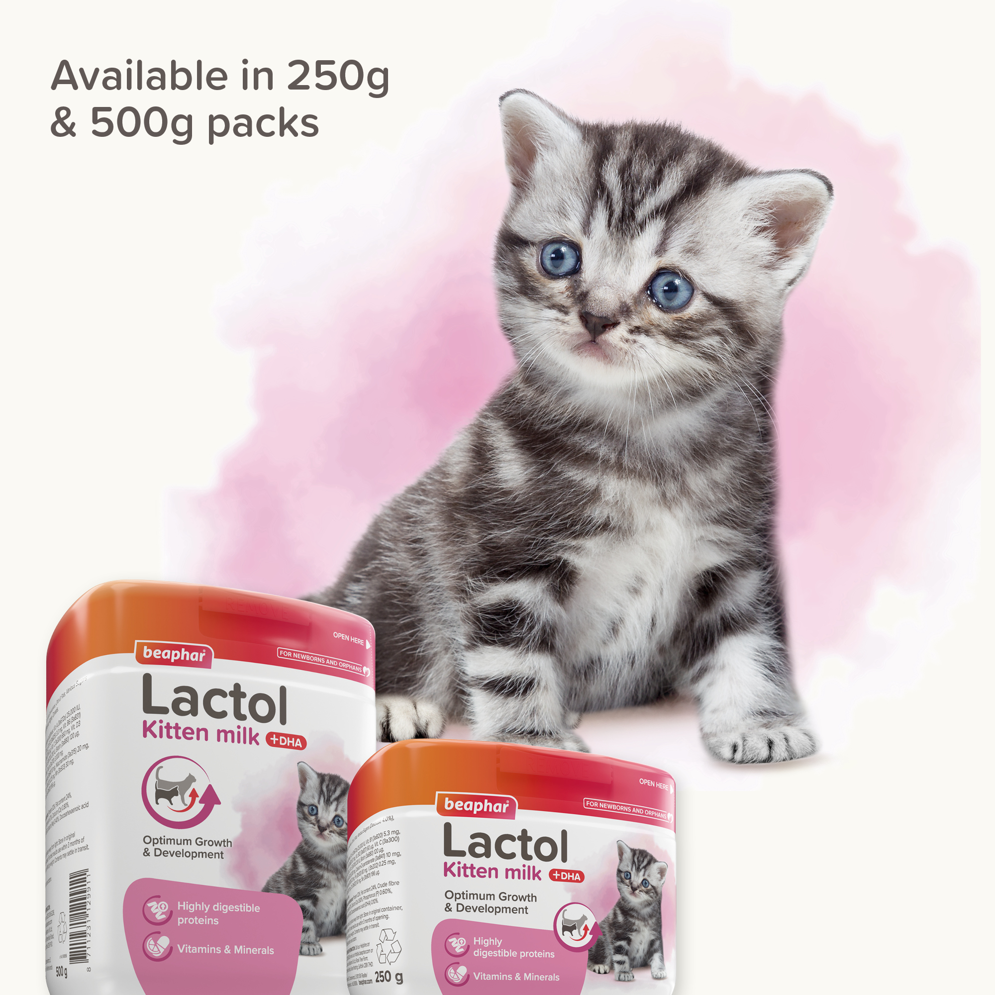 Beaphar Lactol Milk Replacer for Kittens – 500g