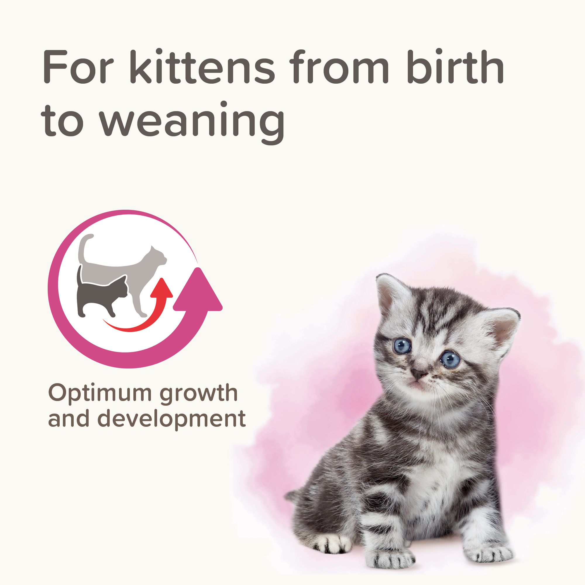 Beaphar Lactol Milk Replacer for Kittens – 500g