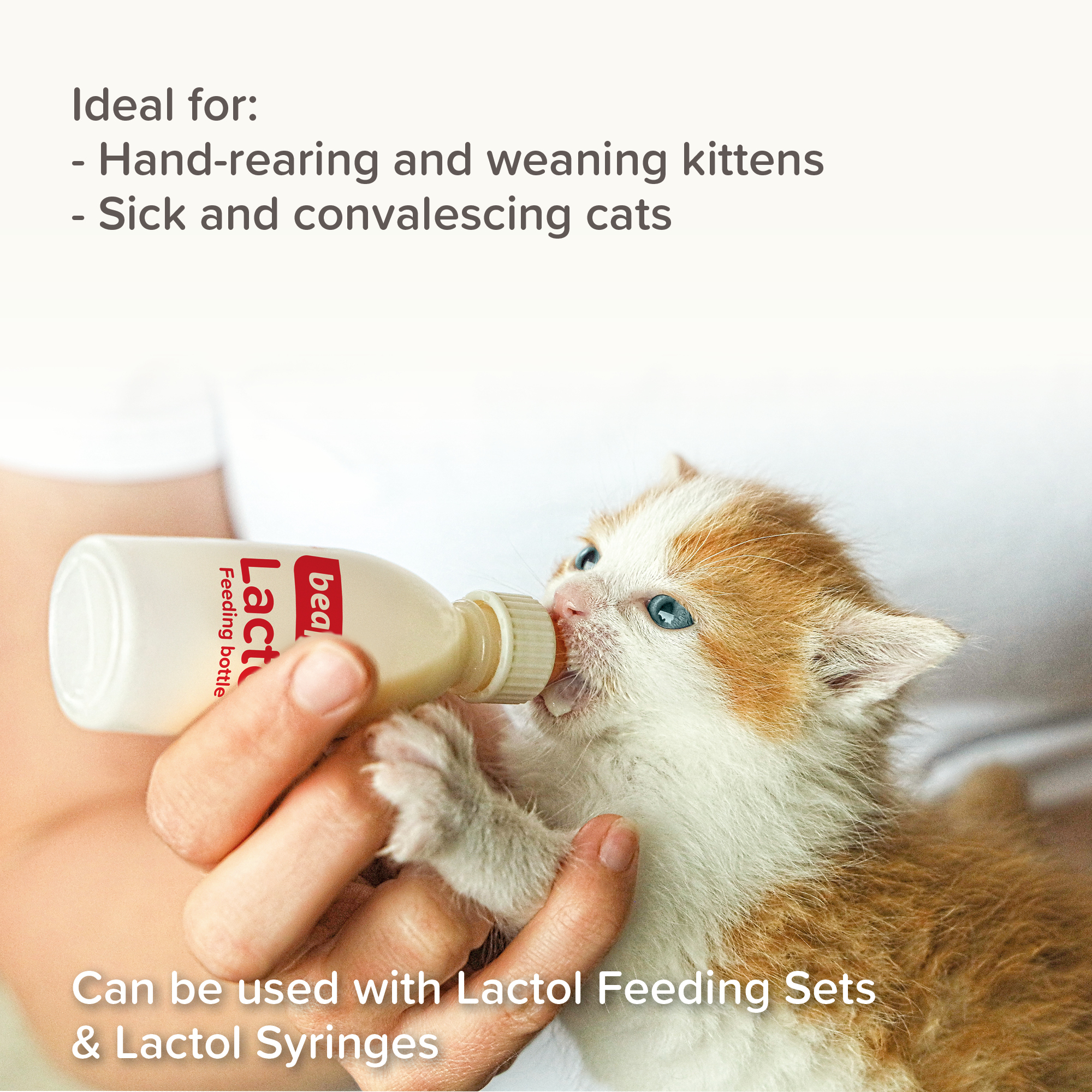Beaphar Lactol Milk Replacer for Kittens – 500g