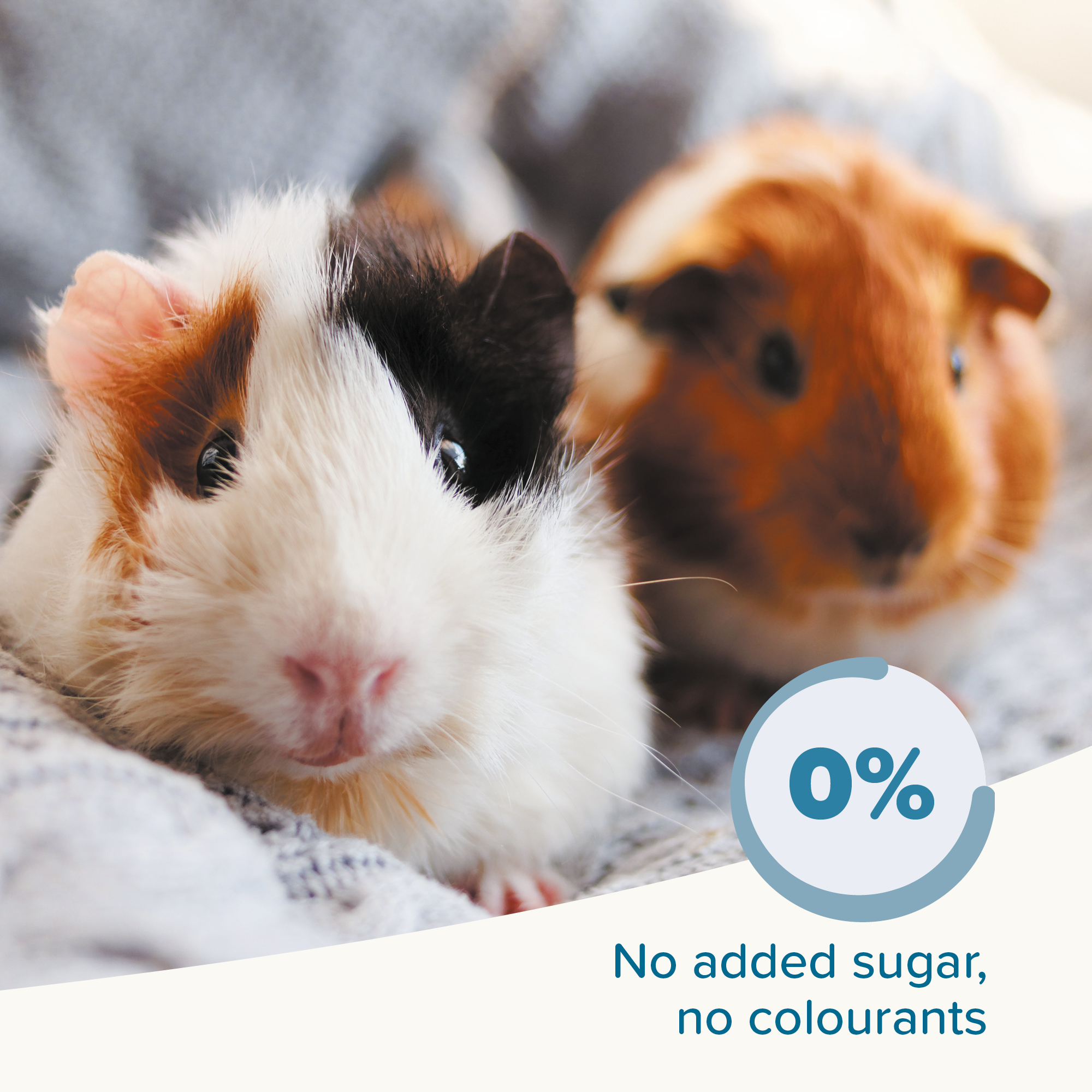 Beaphar CARE+® Guinea Pig Food, 5kg