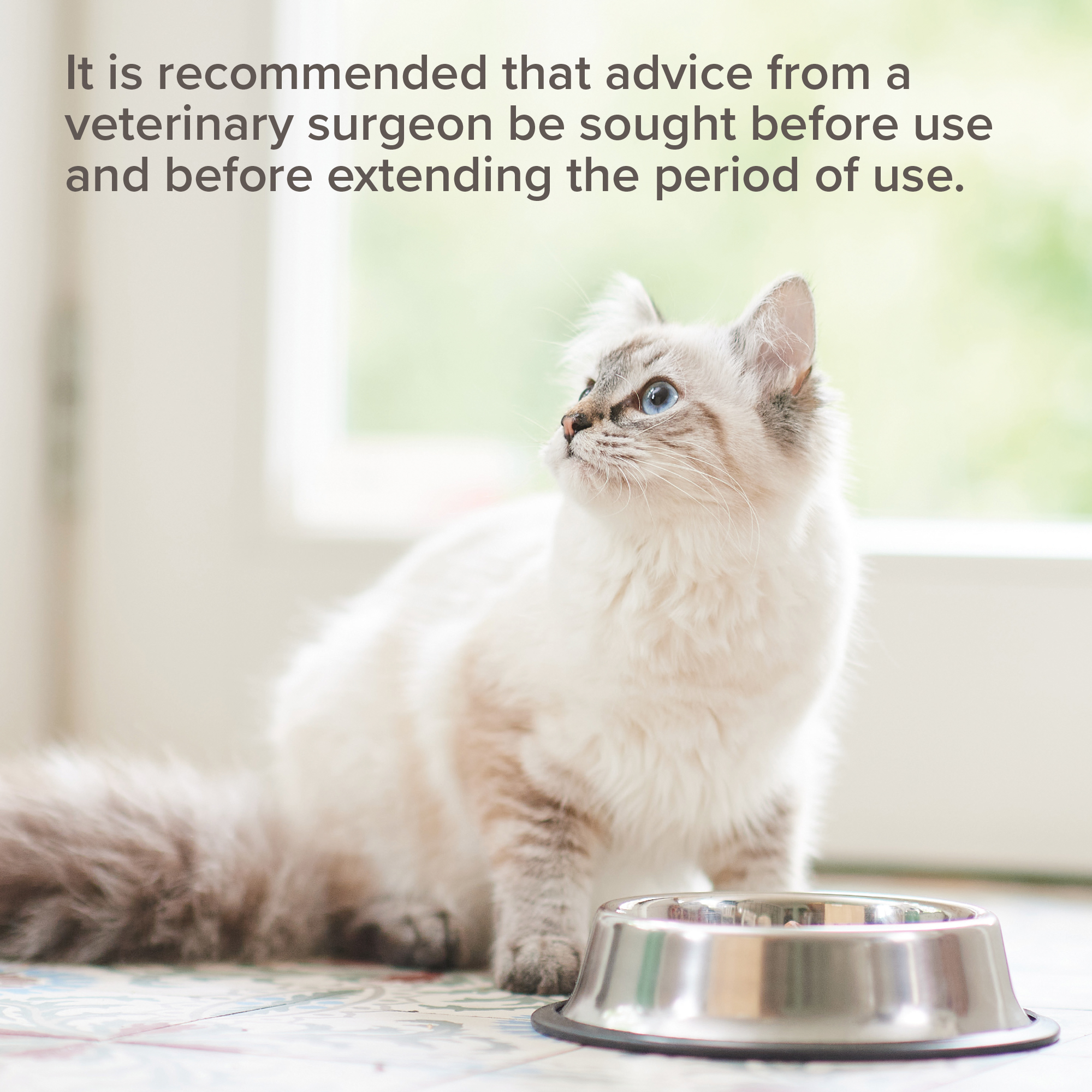 Beaphar Kidney Diet Food for Cats – Salmon