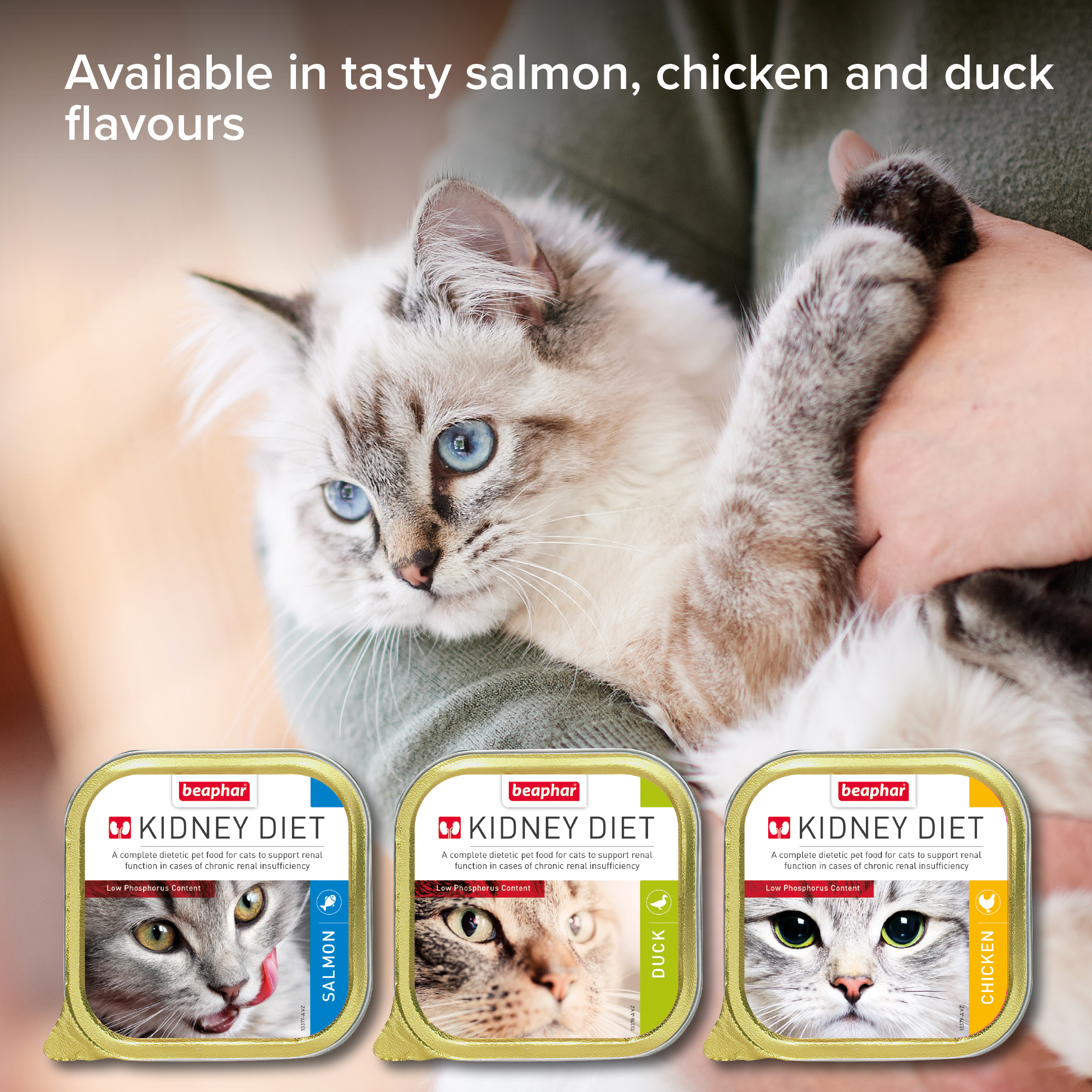 Beaphar Kidney Diet Food for Cats – Salmon