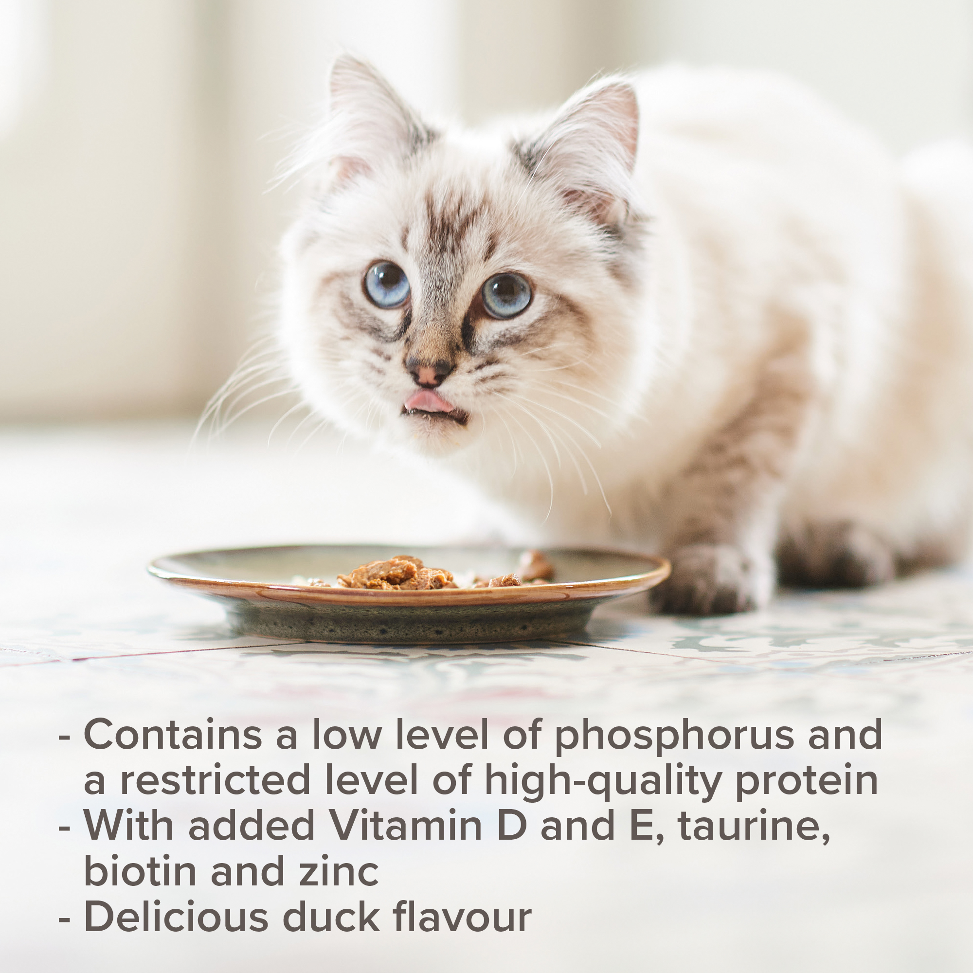 Beaphar Kidney Diet Food for Cats – Duck