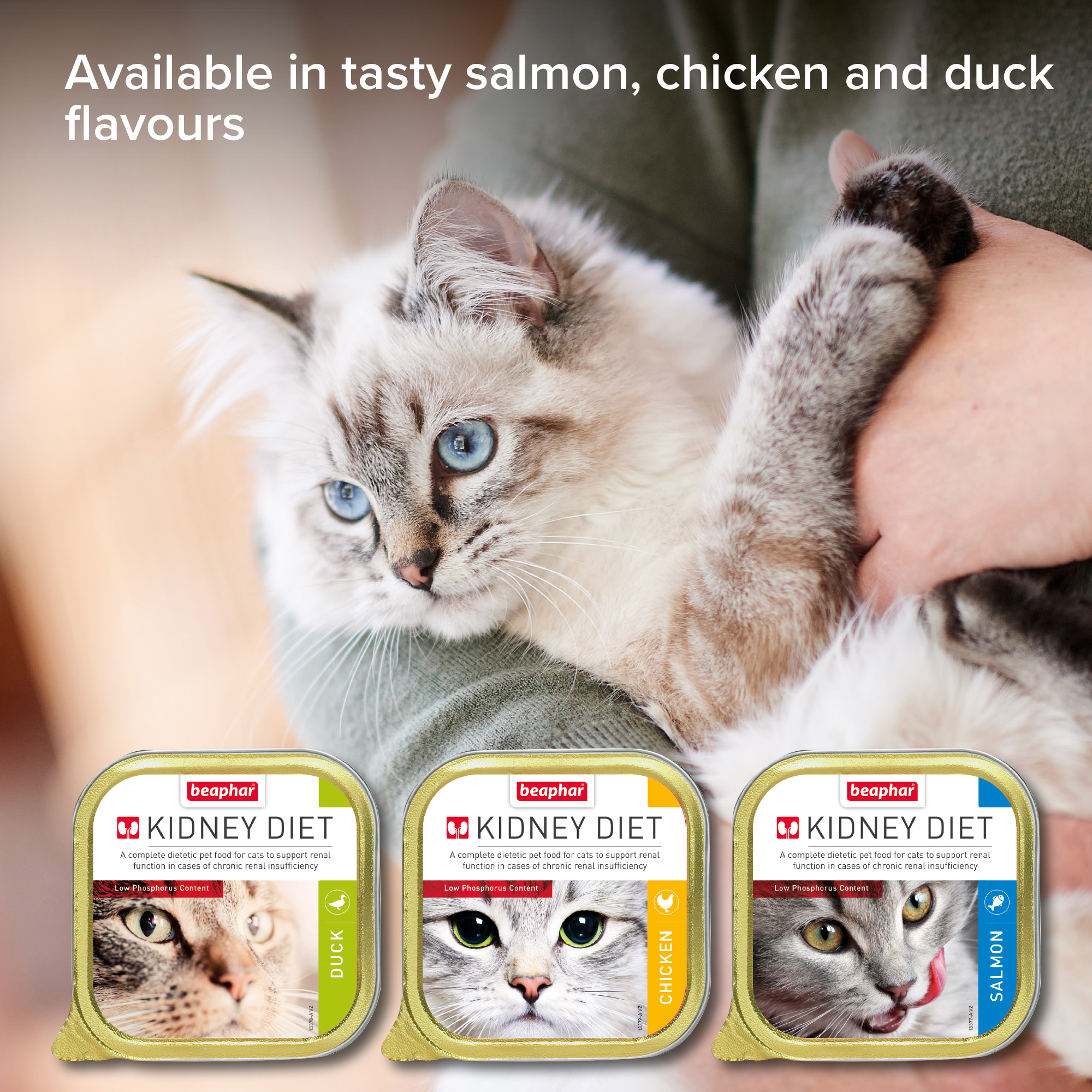 Beaphar Kidney Diet Food for Cats – Duck