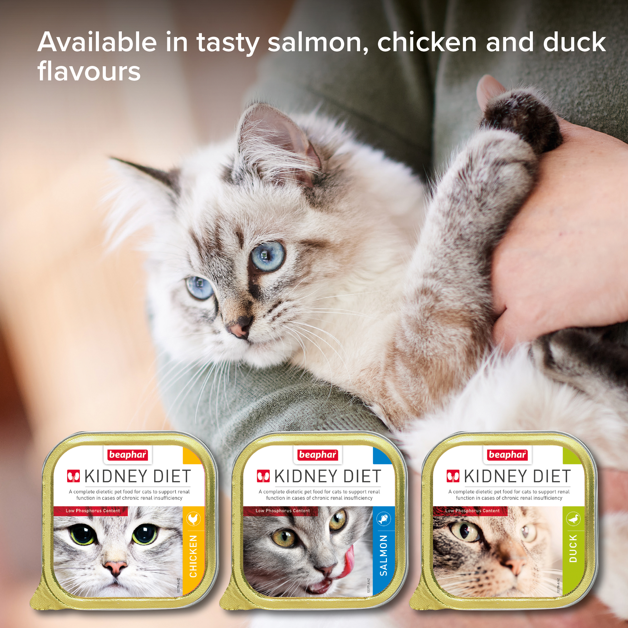 Beaphar Kidney Diet Food for Cats – Chicken