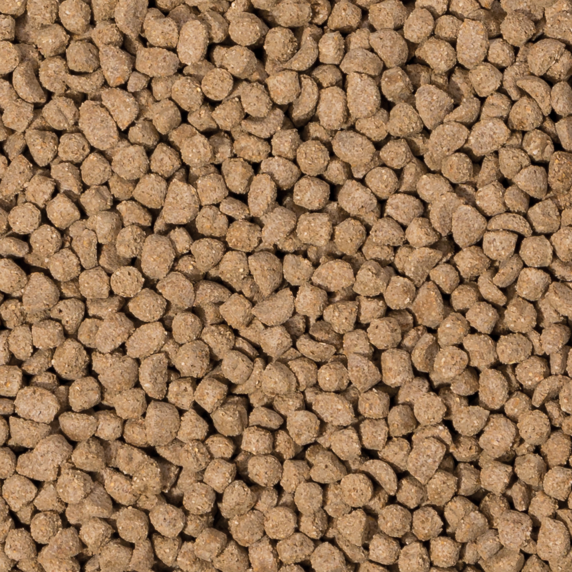 Beaphar CARE+ Degus 700g