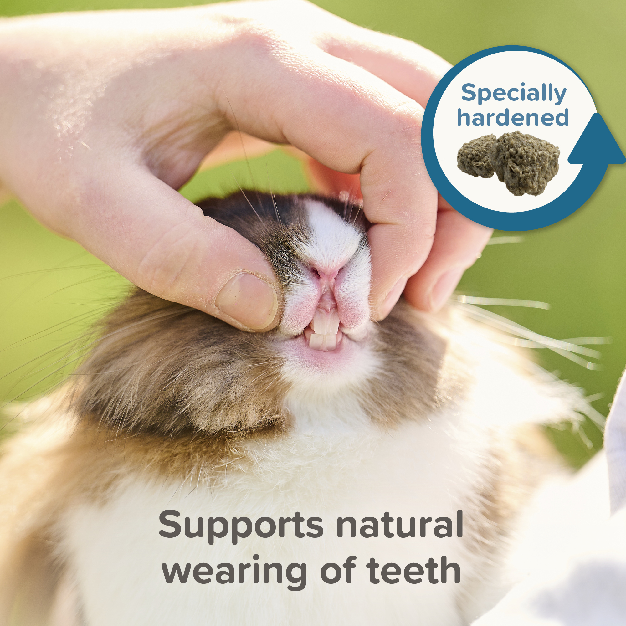 Beaphar CARE+ Degus 700g