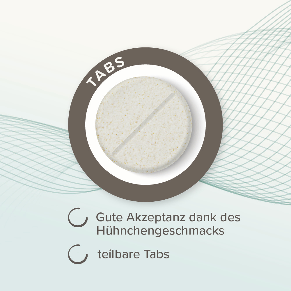 Beaphar IntestoPro Tabs für kleine Hunde, 20 Stück