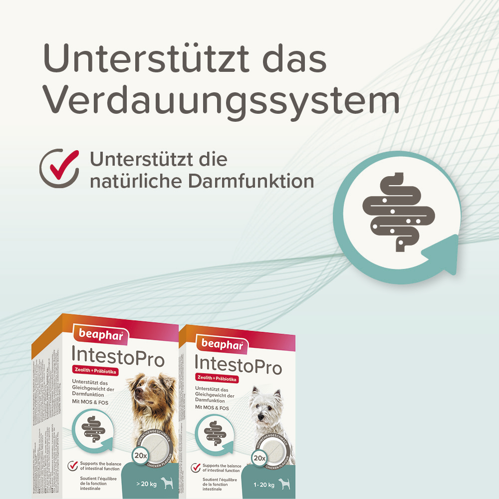 Beaphar IntestoPro Tabs für kleine Hunde, 20 Stück
