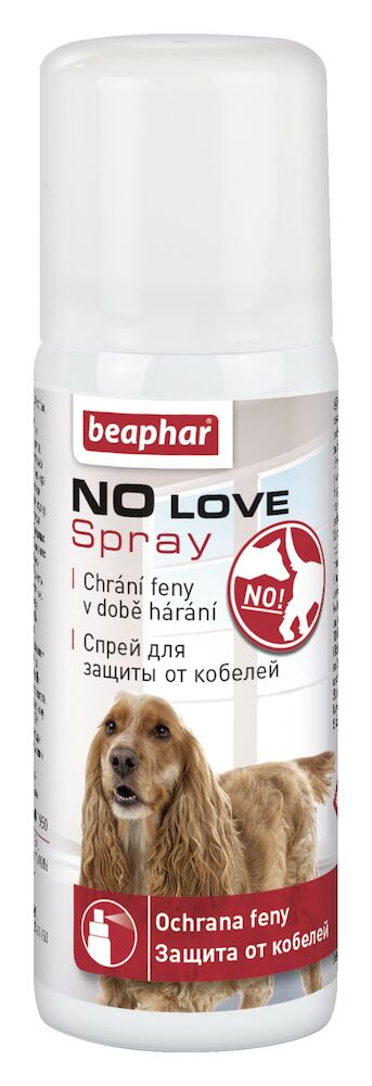 No Love sprej