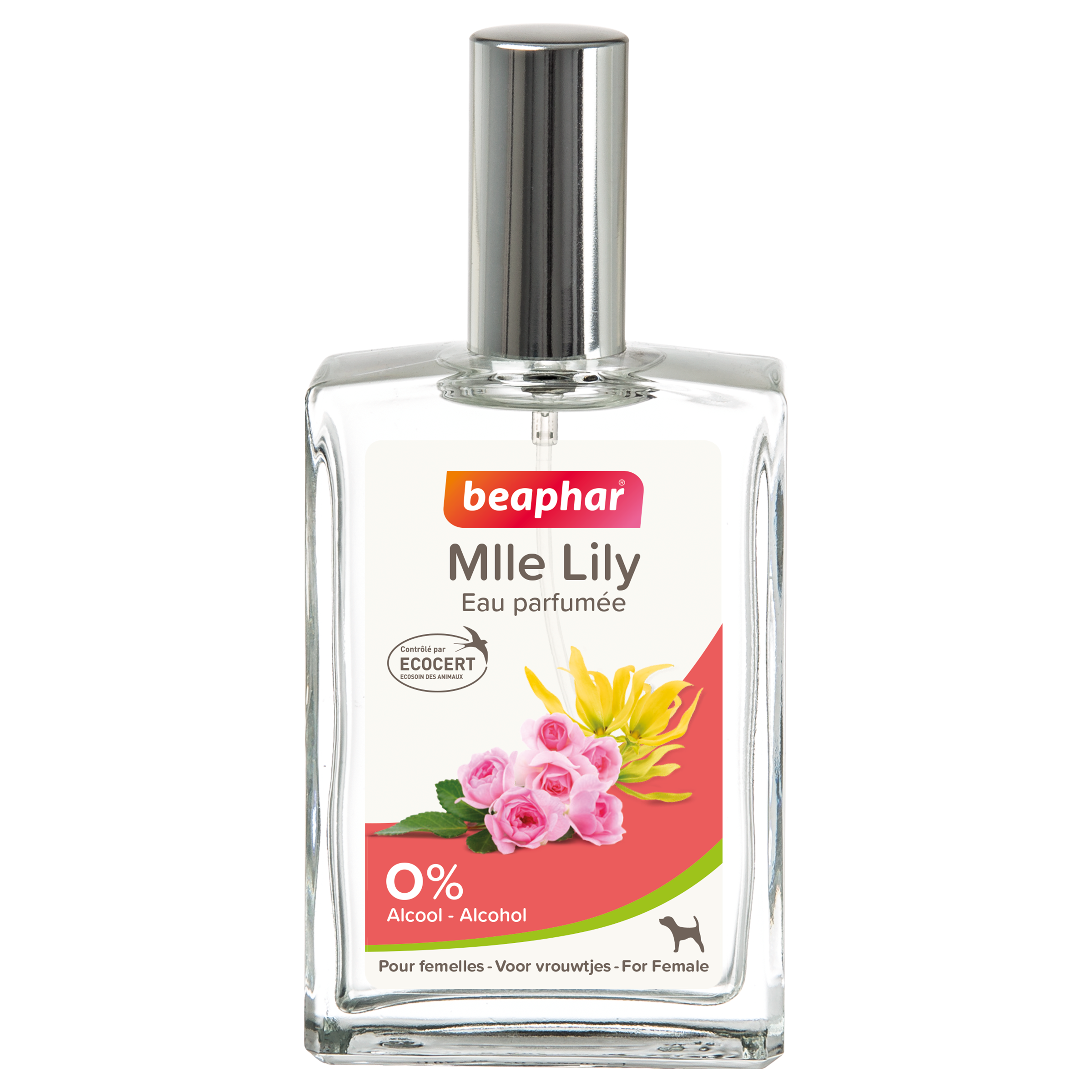 Parfum Mlle Lily Voor Vrouwtjes Hond 50ml