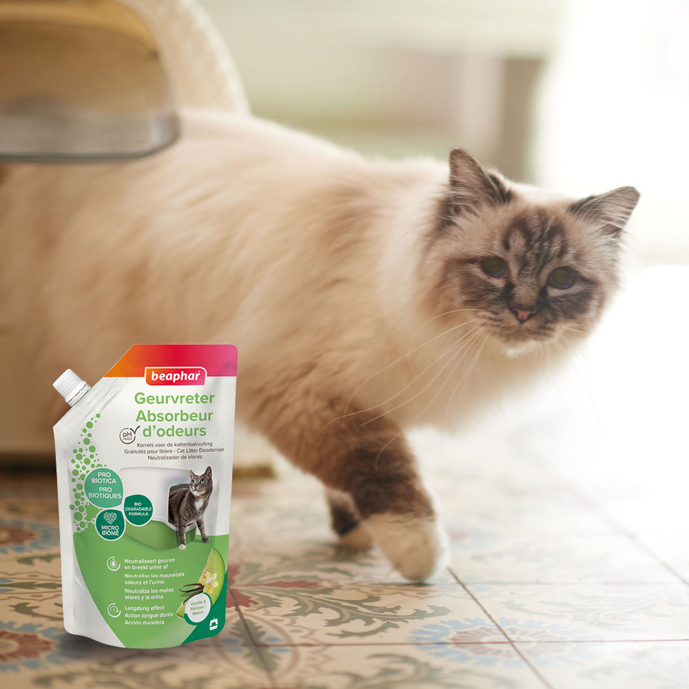 Absorbeur d’odeurs, granulés pour litière, Parfum vanille et melon