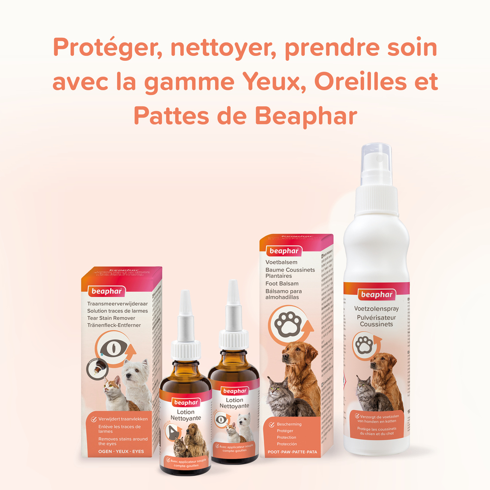 Lotion nettoyante pour les yeux pour chien et chat - 50 ml
