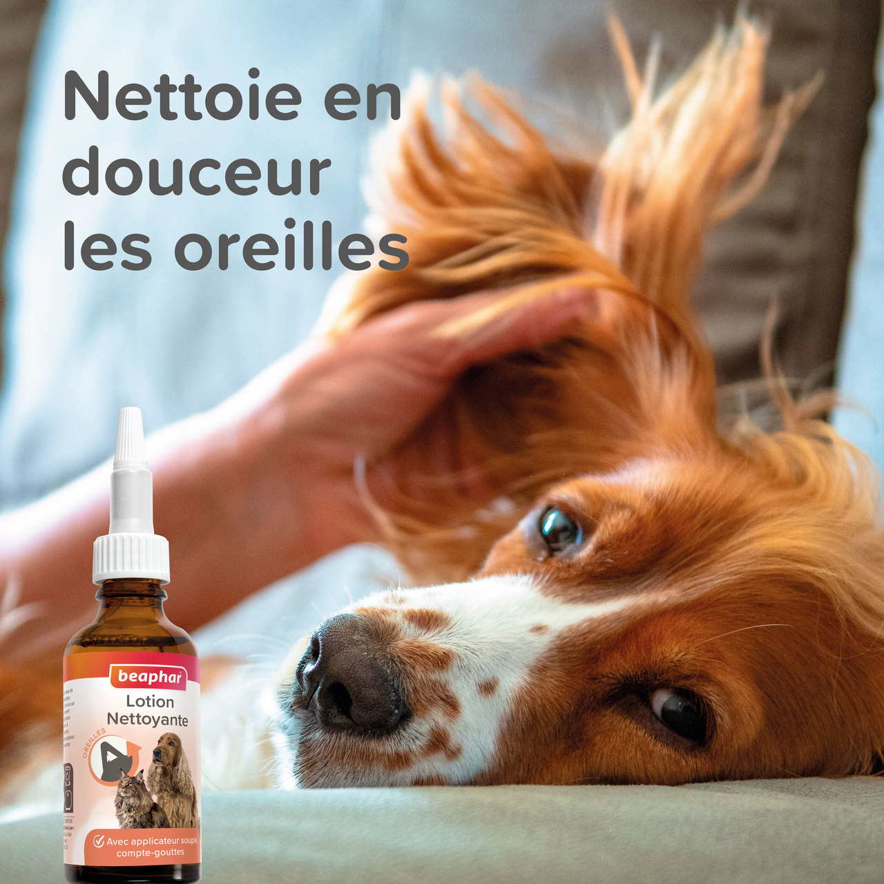 Lotion nettoyante pour les oreilles pour chien et chat - 50 ml
