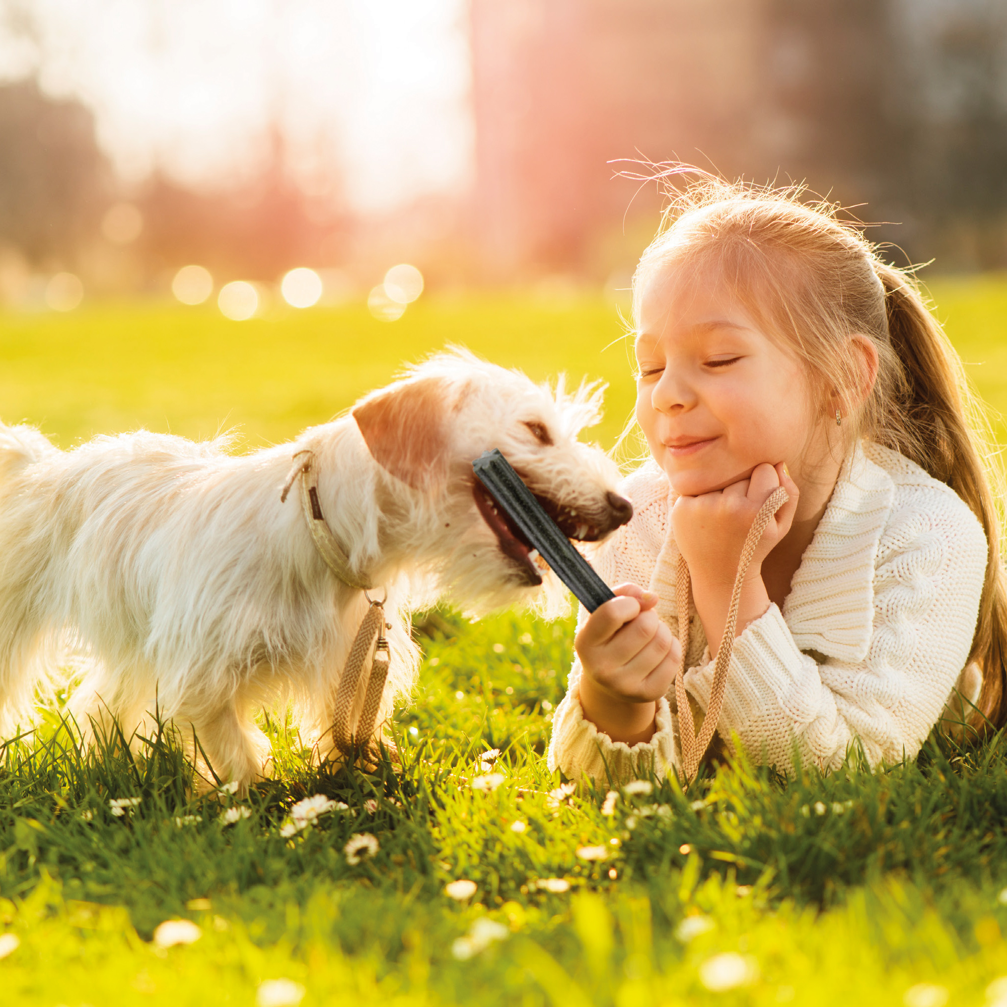 Beaphar Dental Sticks for Small Dogs
